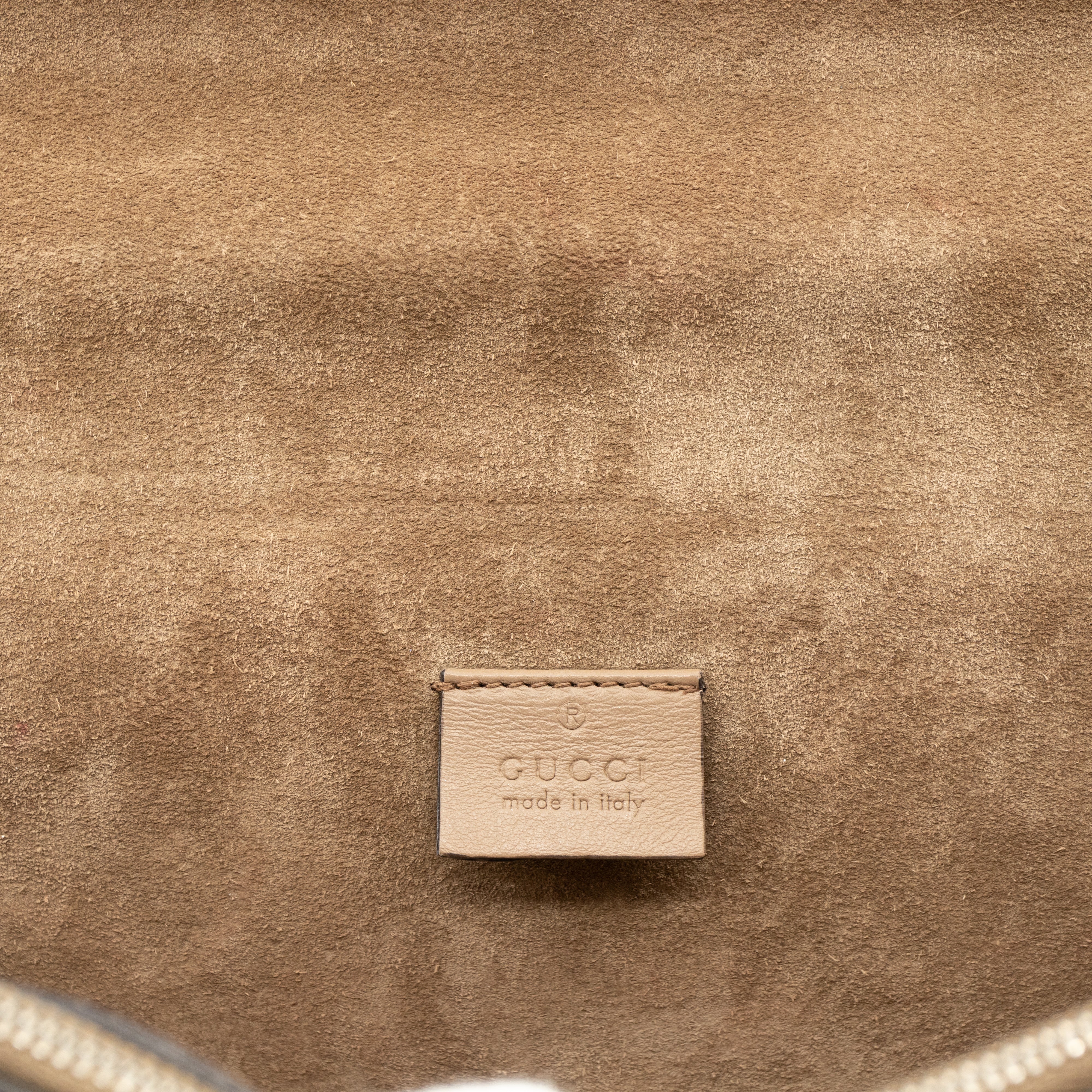 Dionysus Small GG Supreme Embroidered Birds