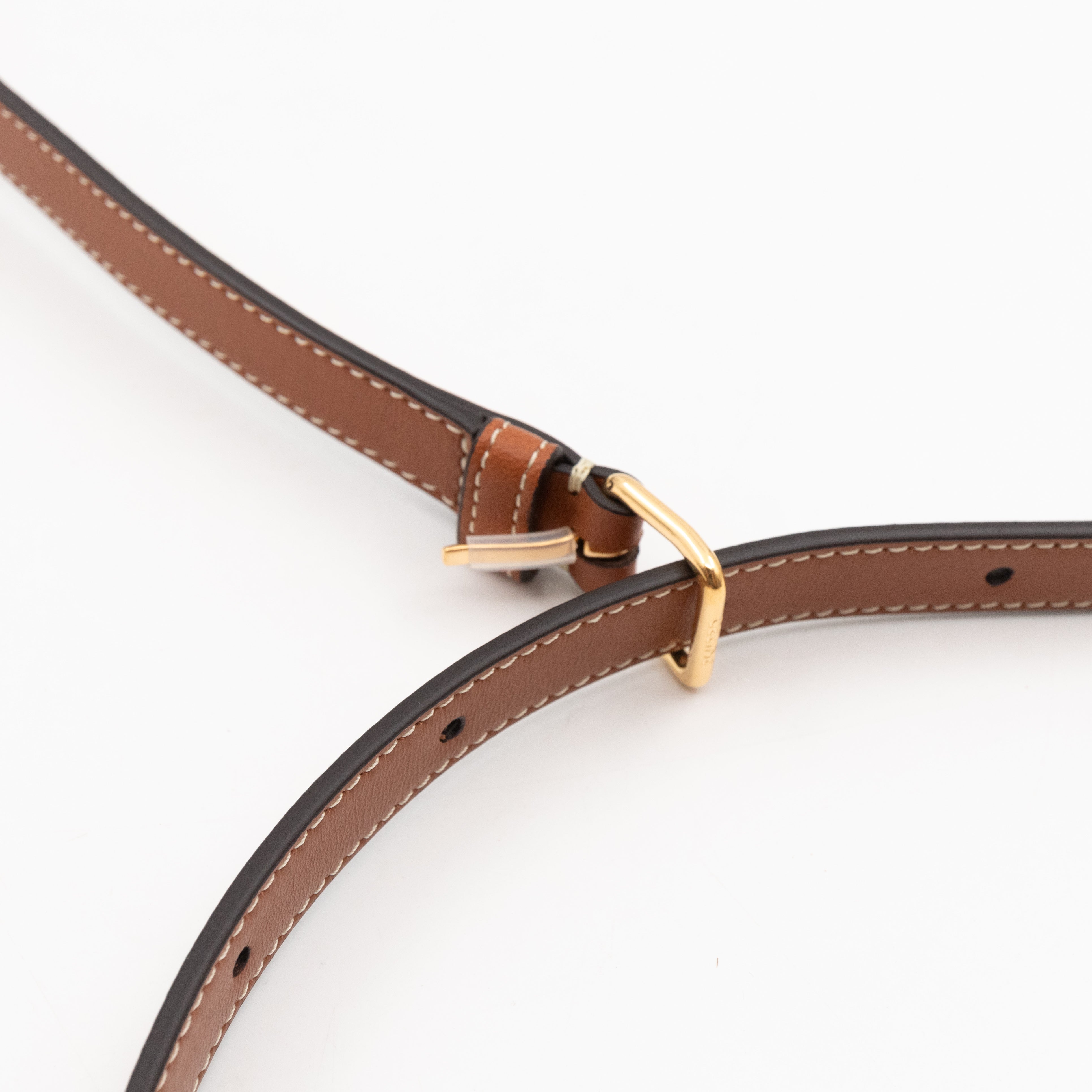 Round Purse On Strap Triomphe Canvas