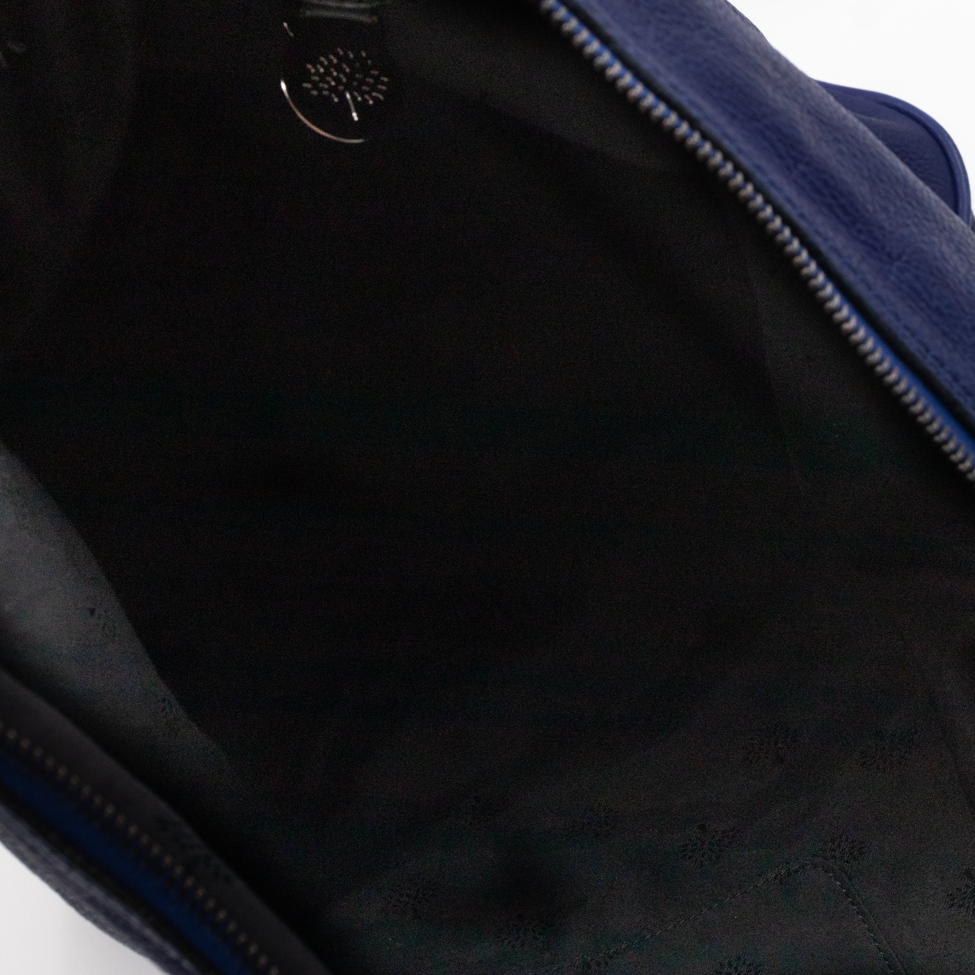 Mila Hobo Electric Blue Leather