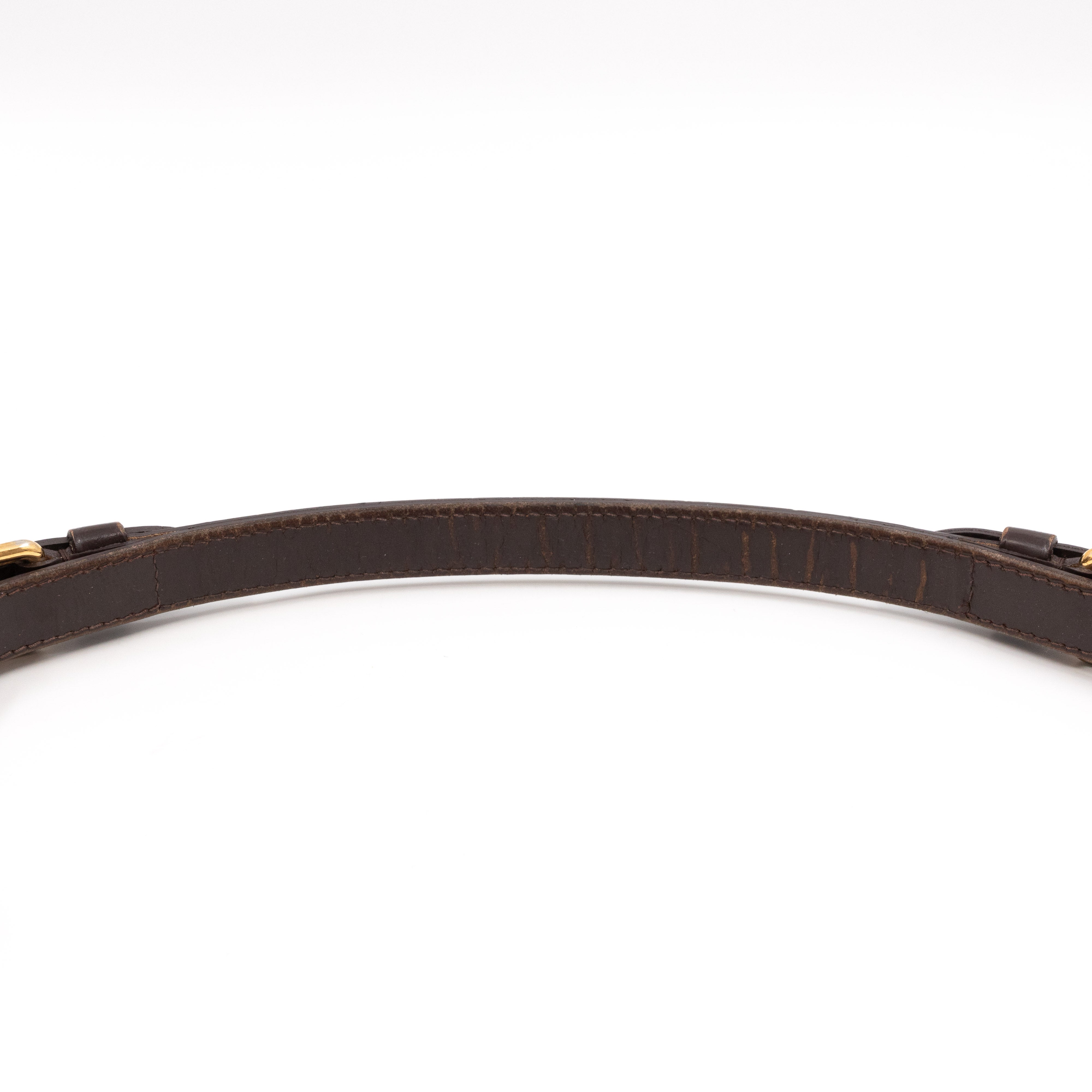 Trevi PM Damier Ebene