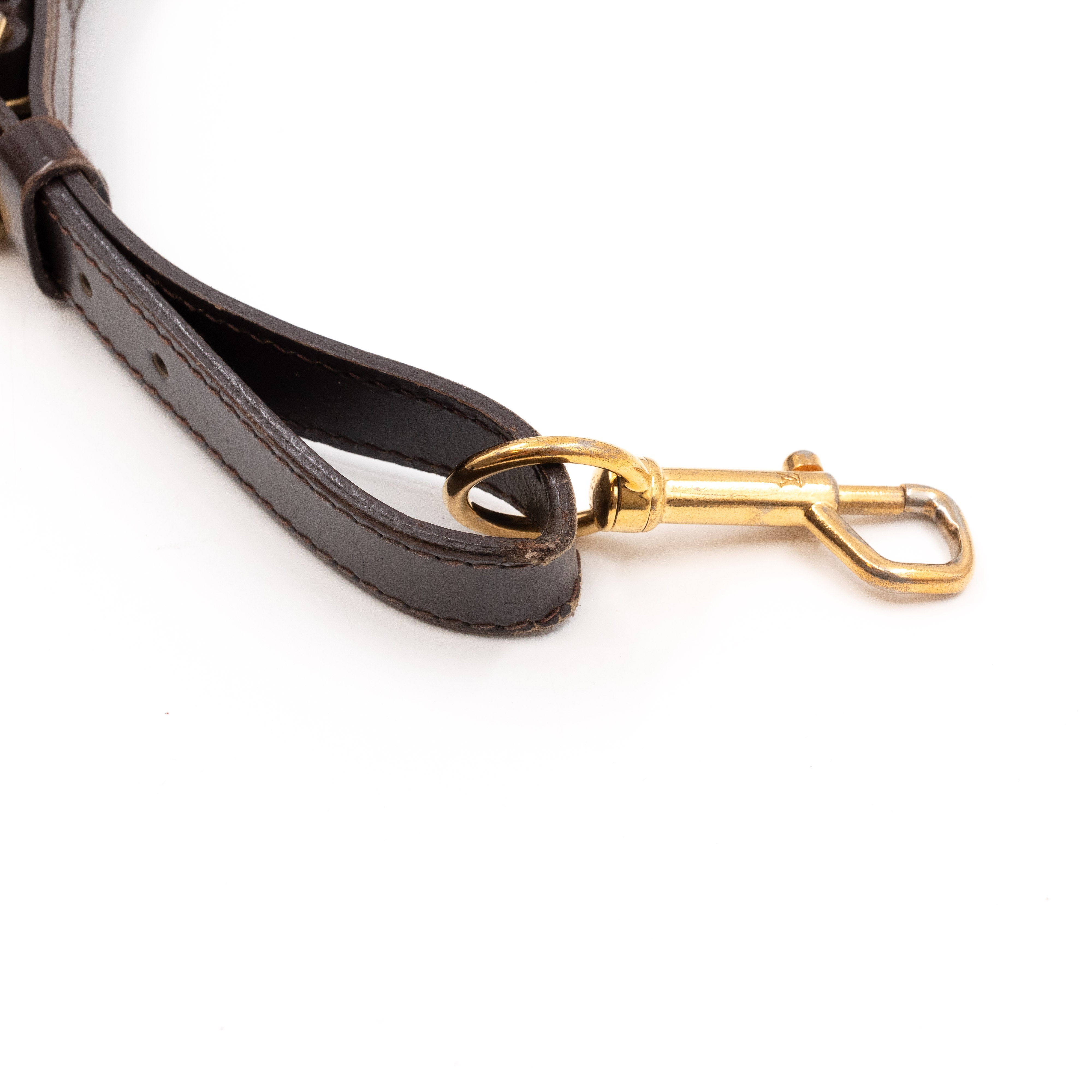 Trevi PM Damier Ebene