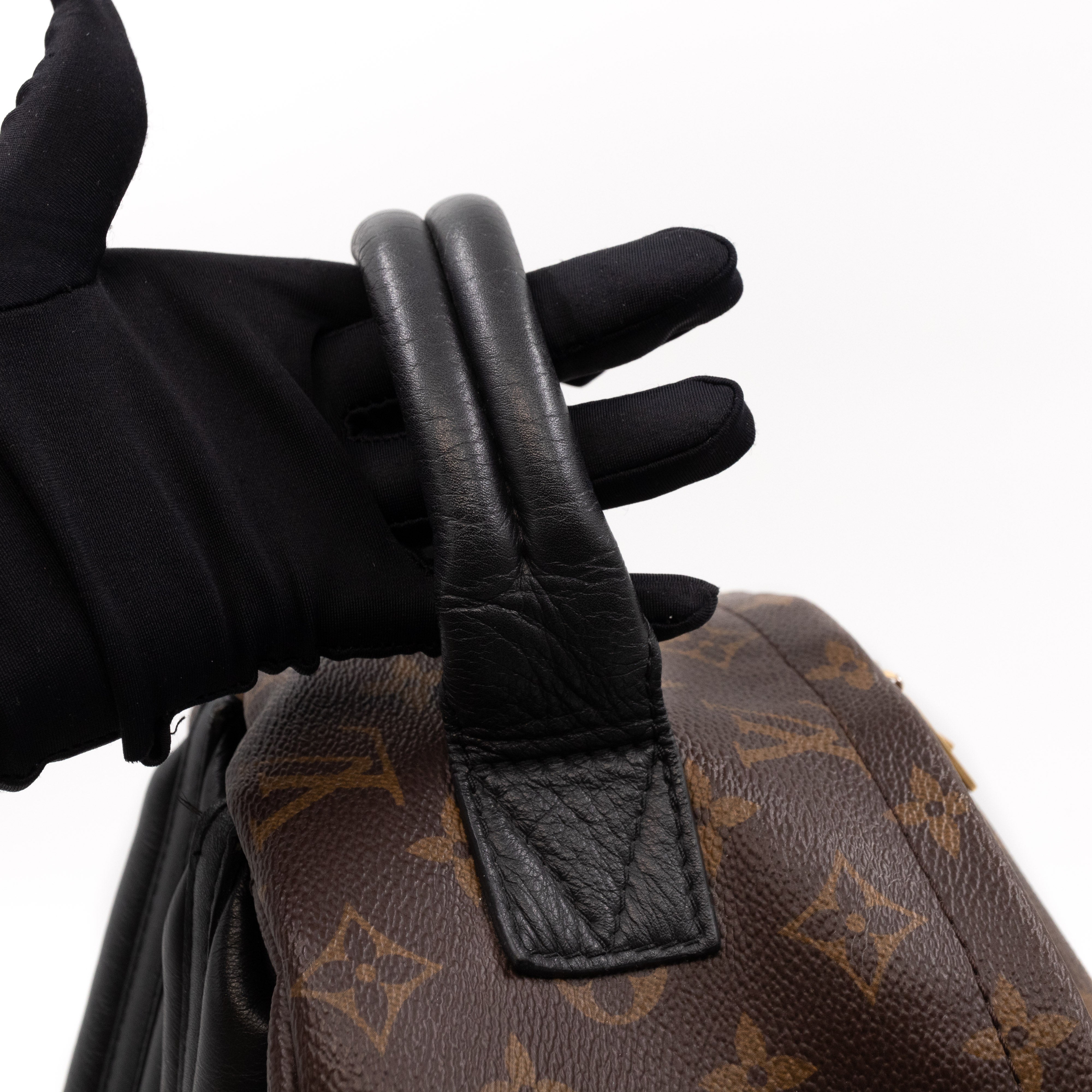 Palm Springs Backpack PM Monogram Macassar