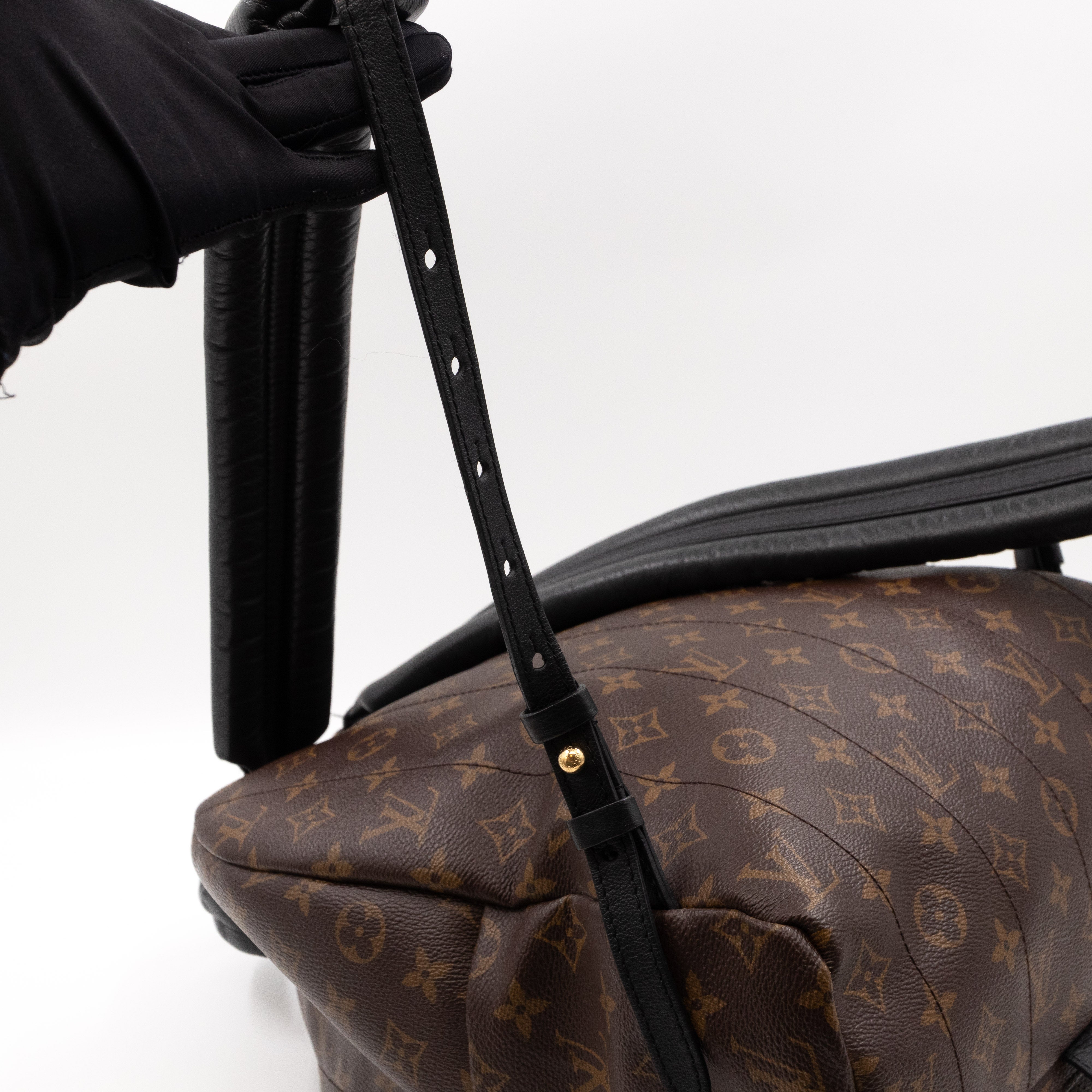 Palm Springs Backpack PM Monogram Macassar