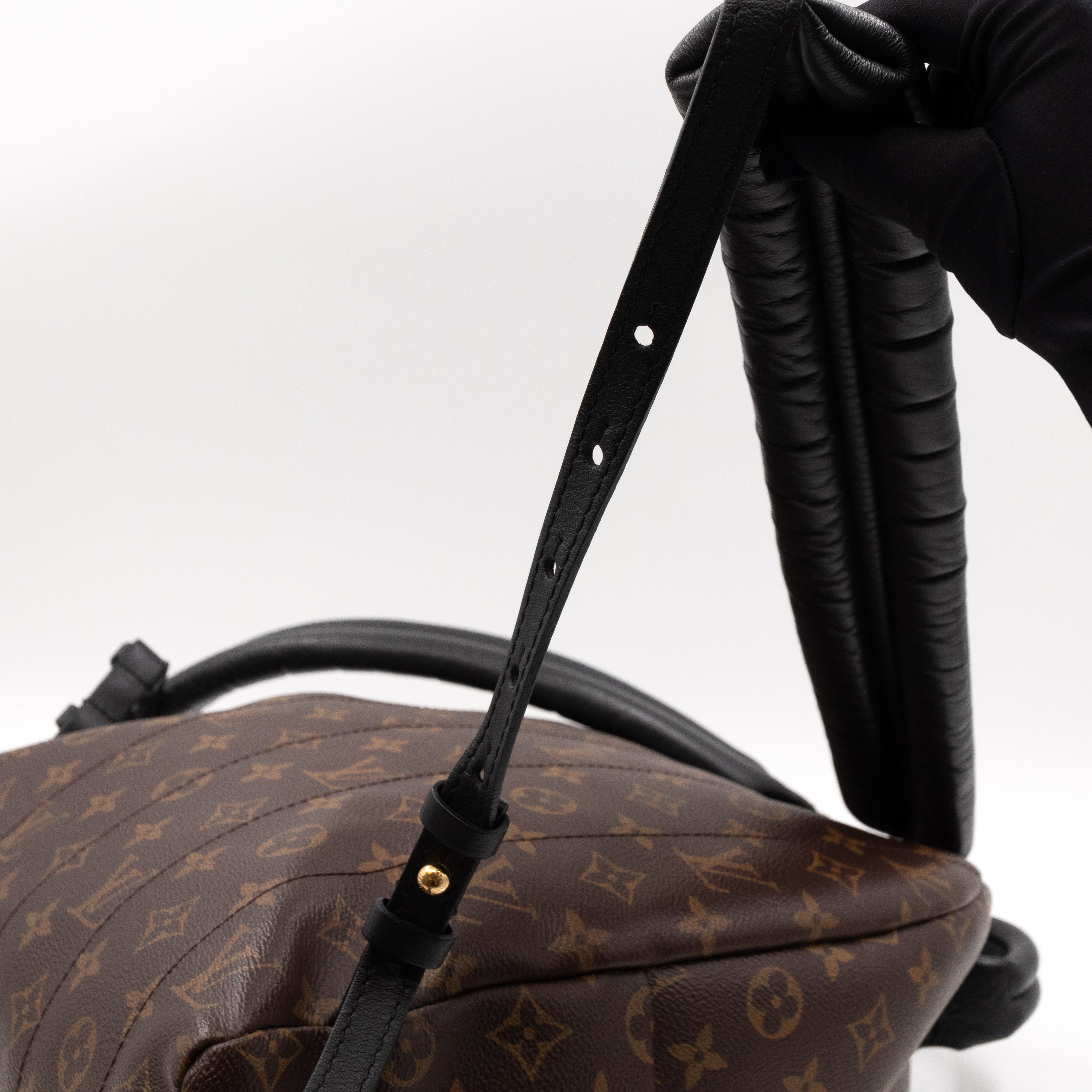 Palm Springs Backpack PM Monogram Macassar