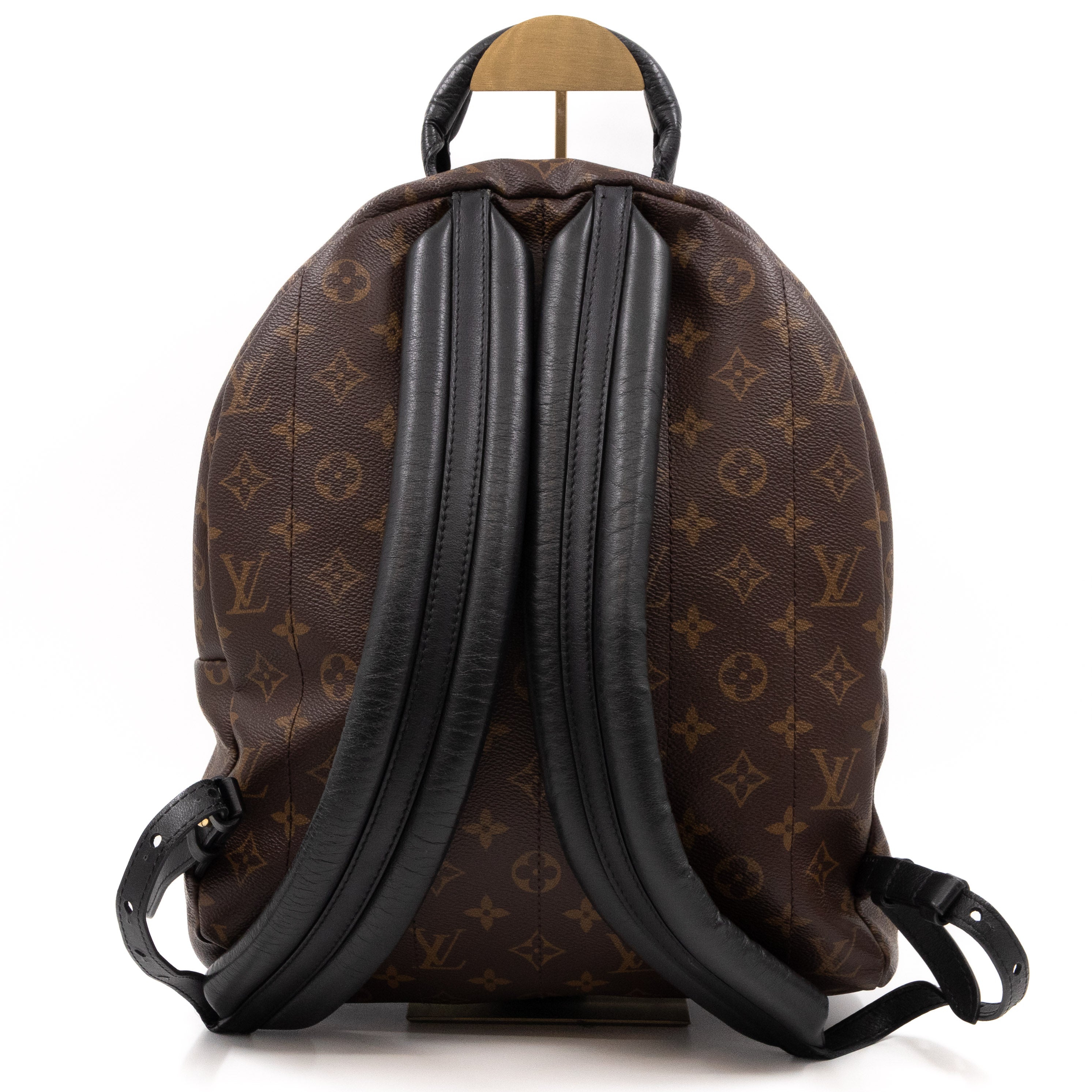 Palm Springs Backpack PM Monogram Macassar
