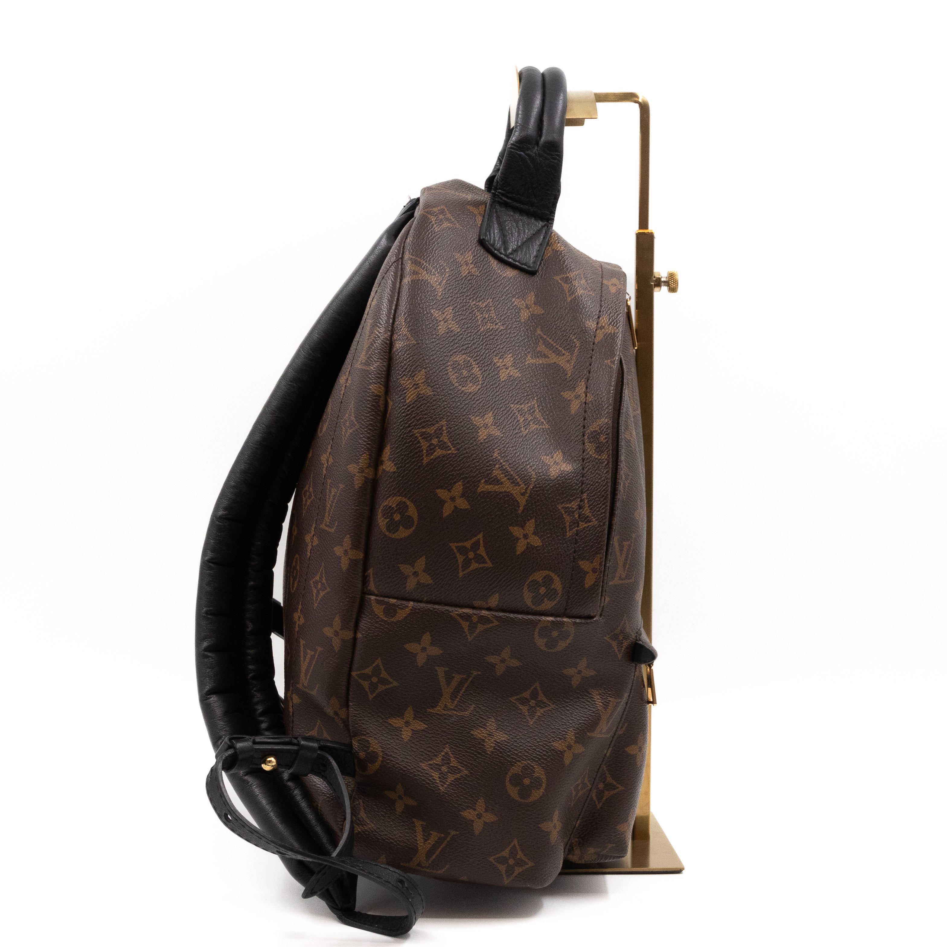Palm Springs Backpack PM Monogram Macassar