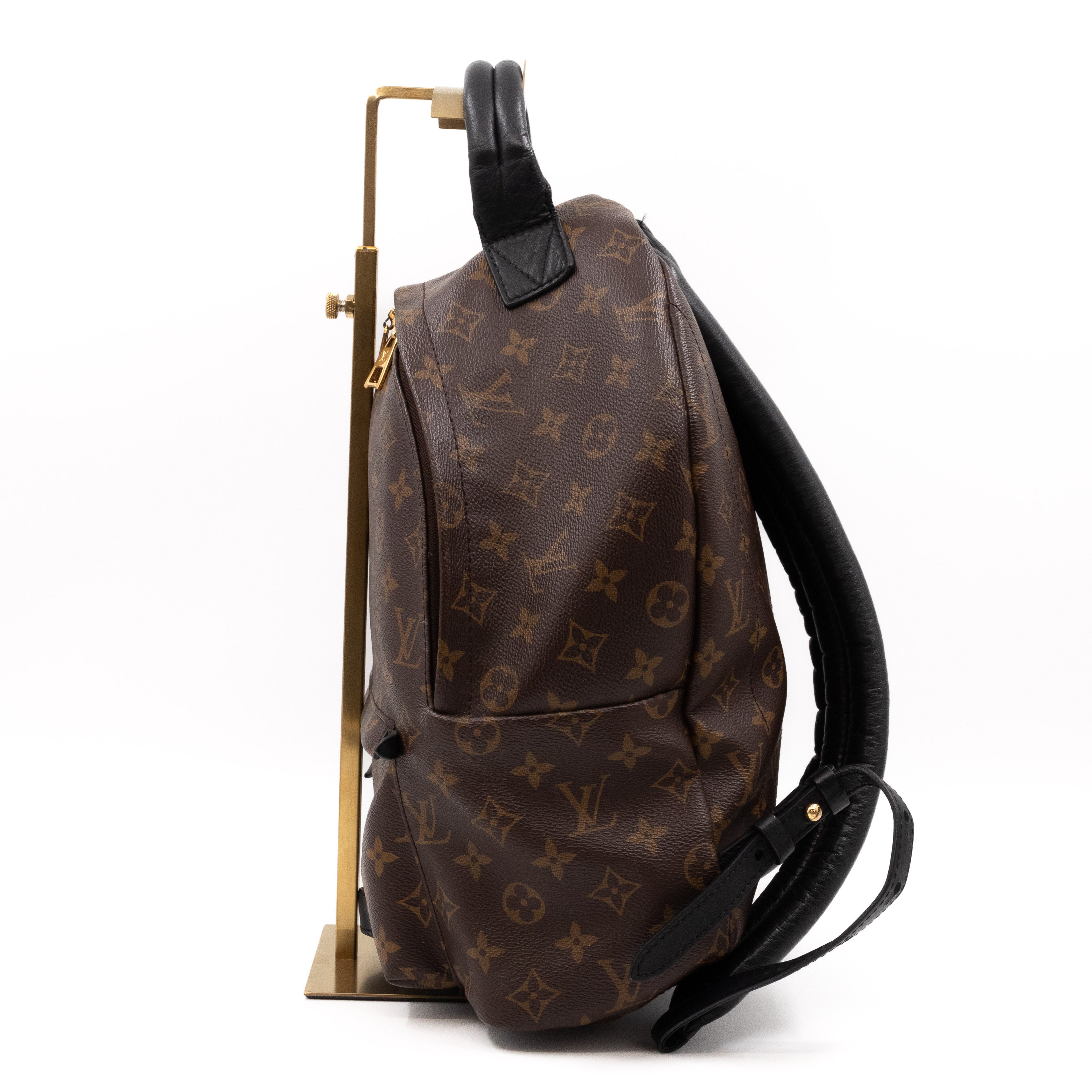 Palm Springs Backpack PM Monogram Macassar