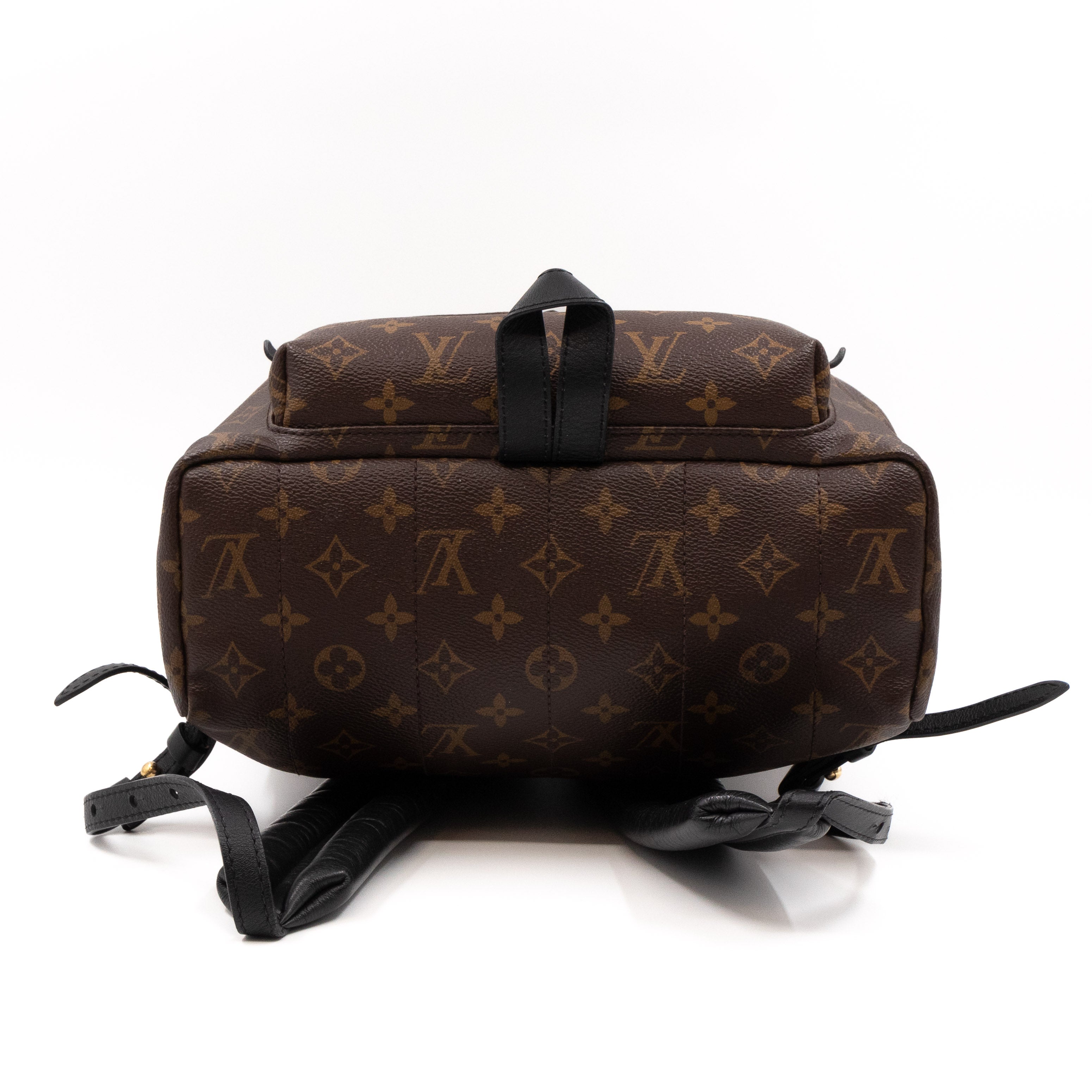Palm Springs Backpack PM Monogram Macassar