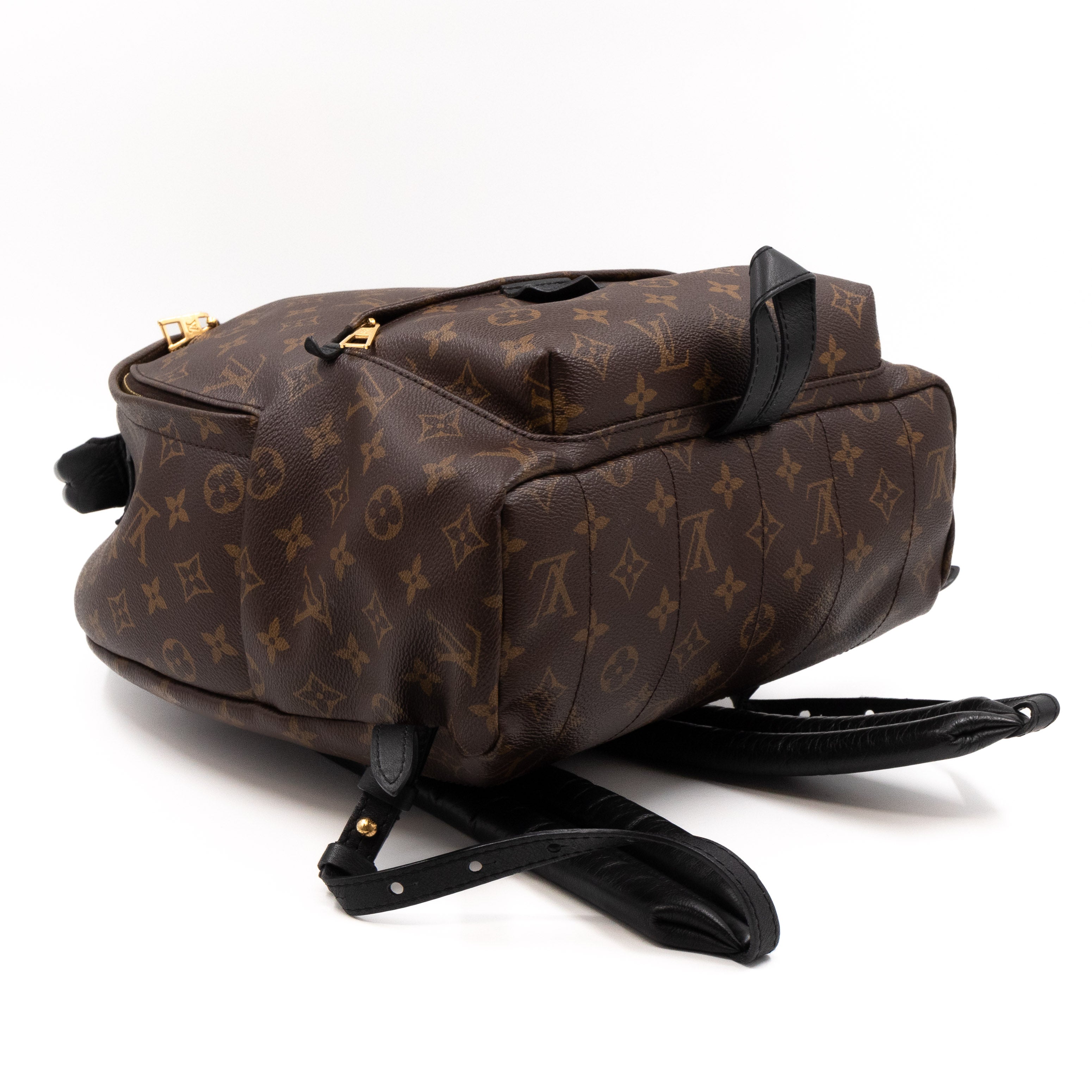 Palm Springs Backpack PM Monogram Macassar