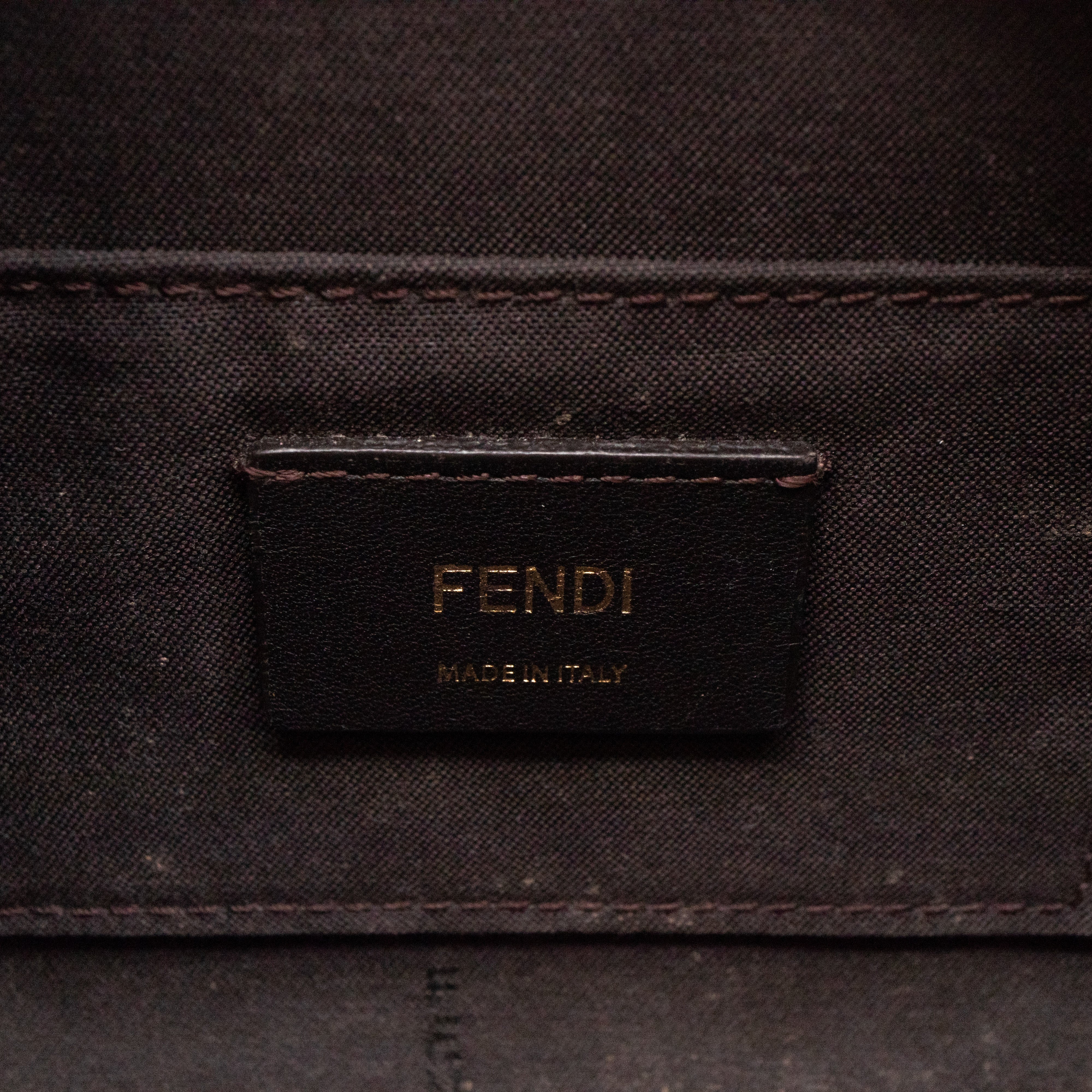 Camera Bag Monogram Zucca FF Brown