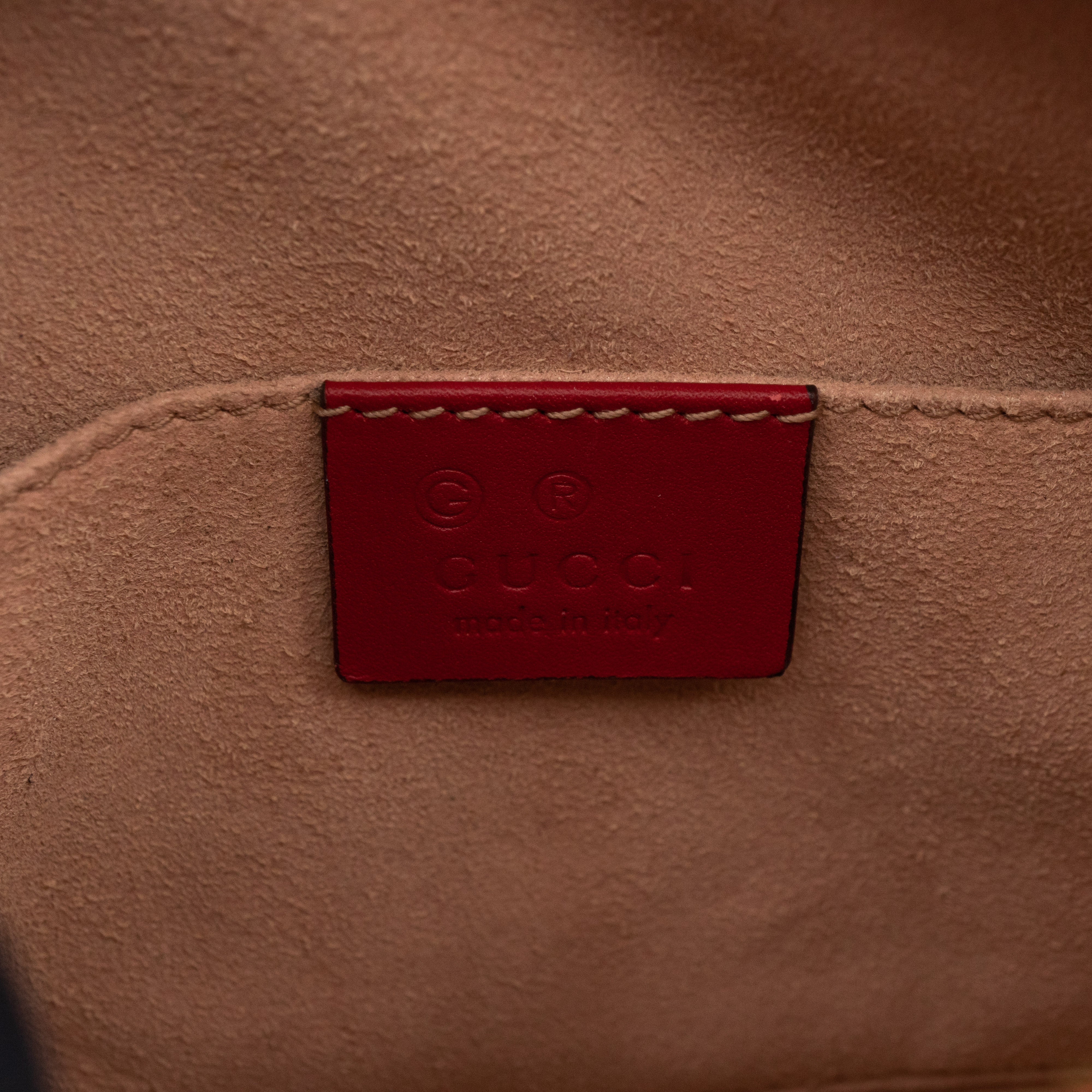 Camera Bag GG Supreme Blooms