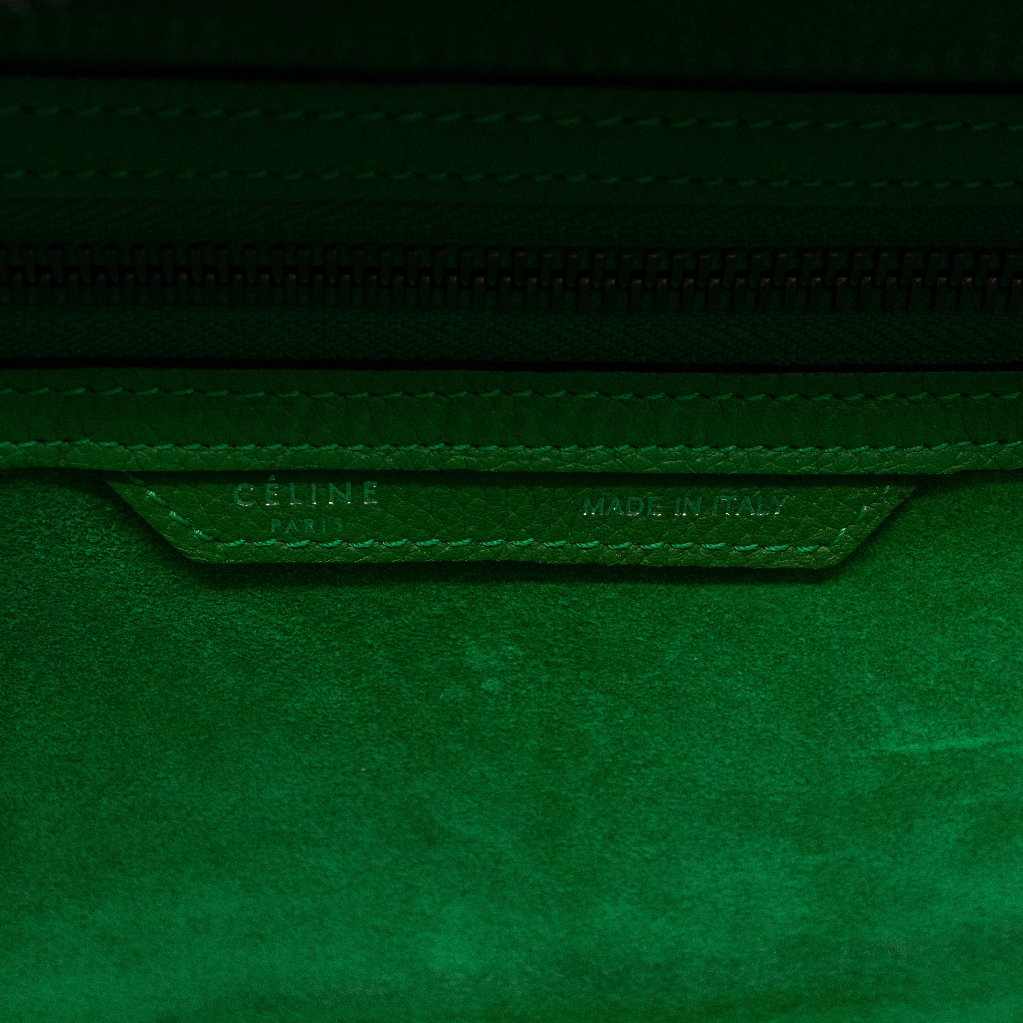 Micro Luggage Green Leather