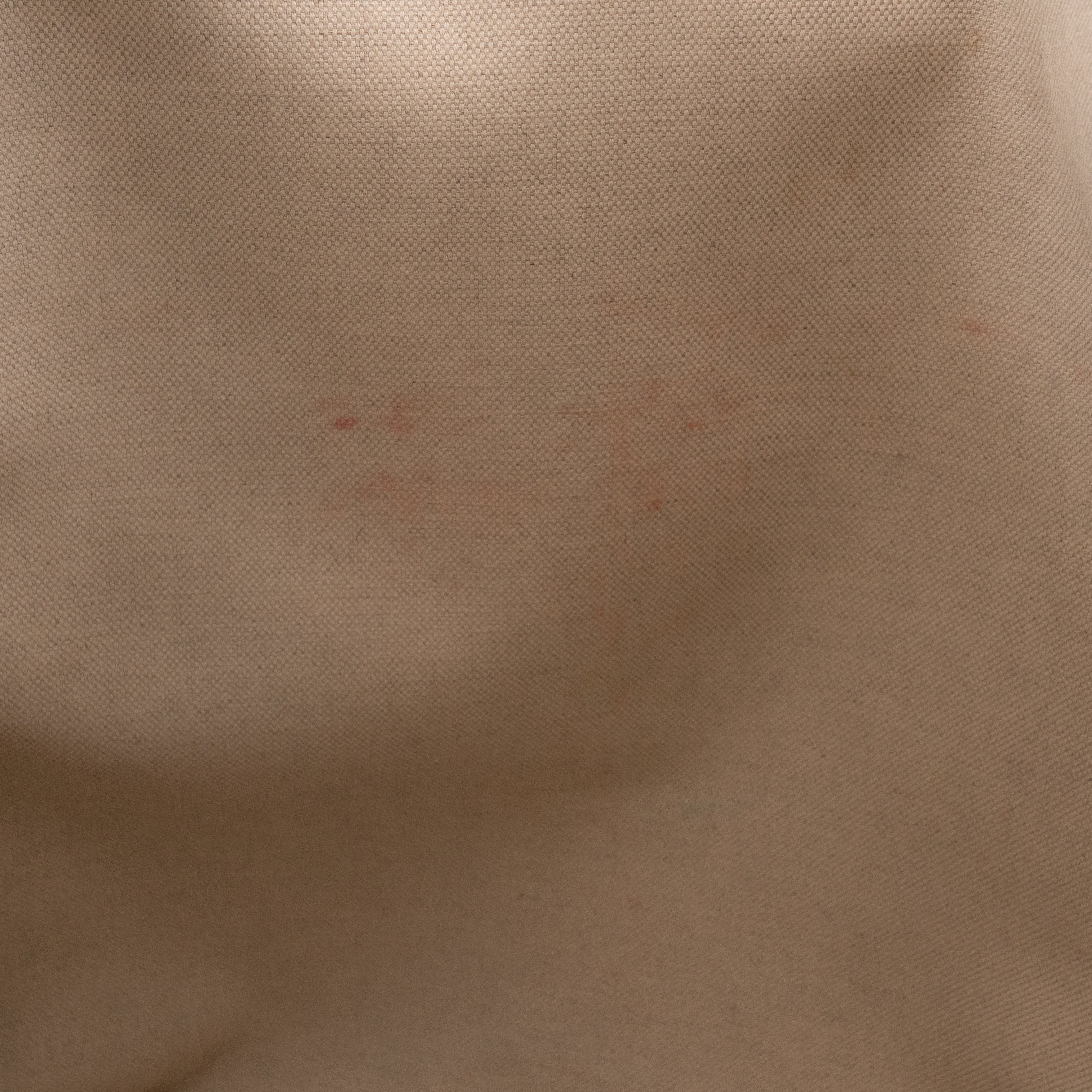 Signature Web Loop Medium Tote GG Supreme