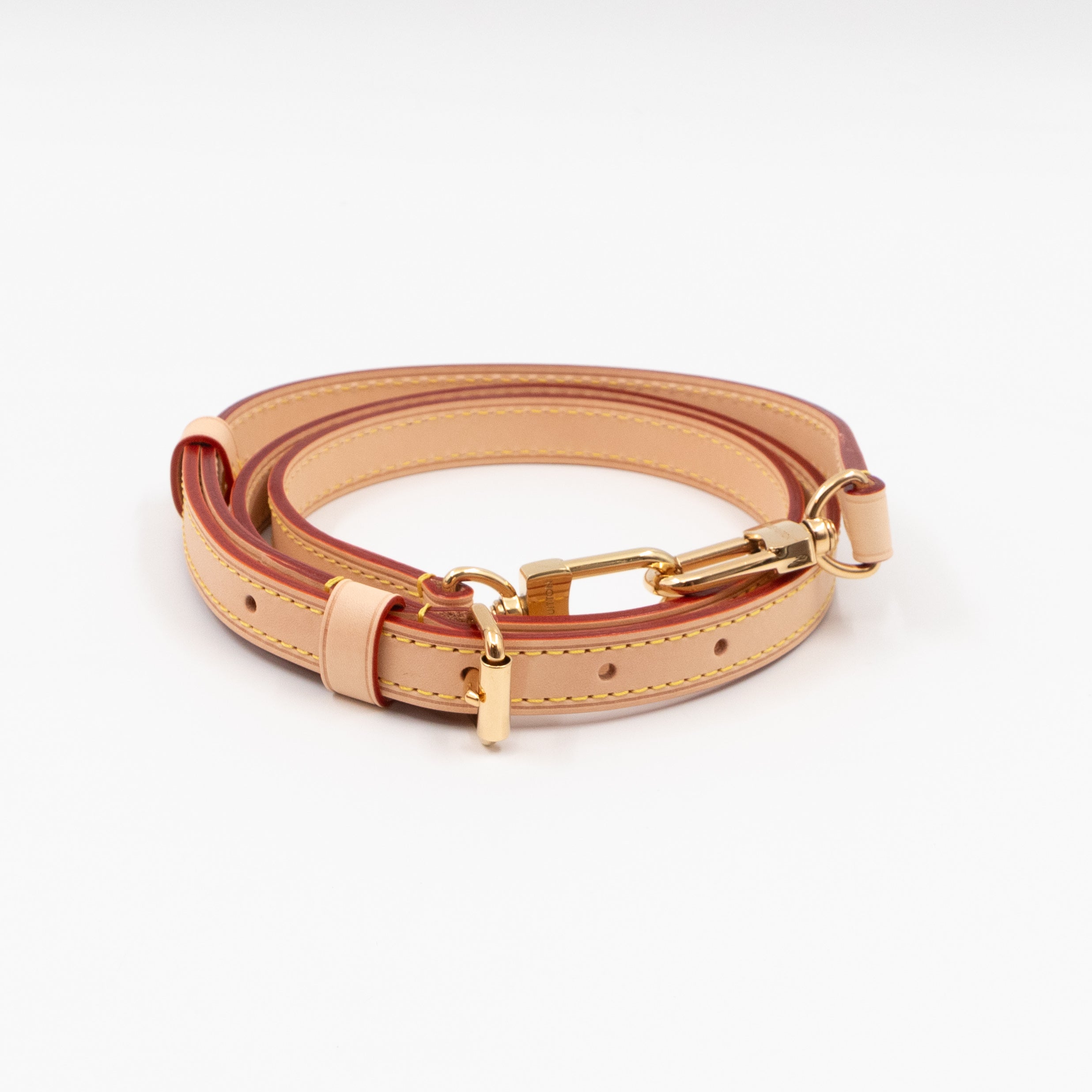 Speedy 20 Bandouliere LV x YK Monogram Pumpkins