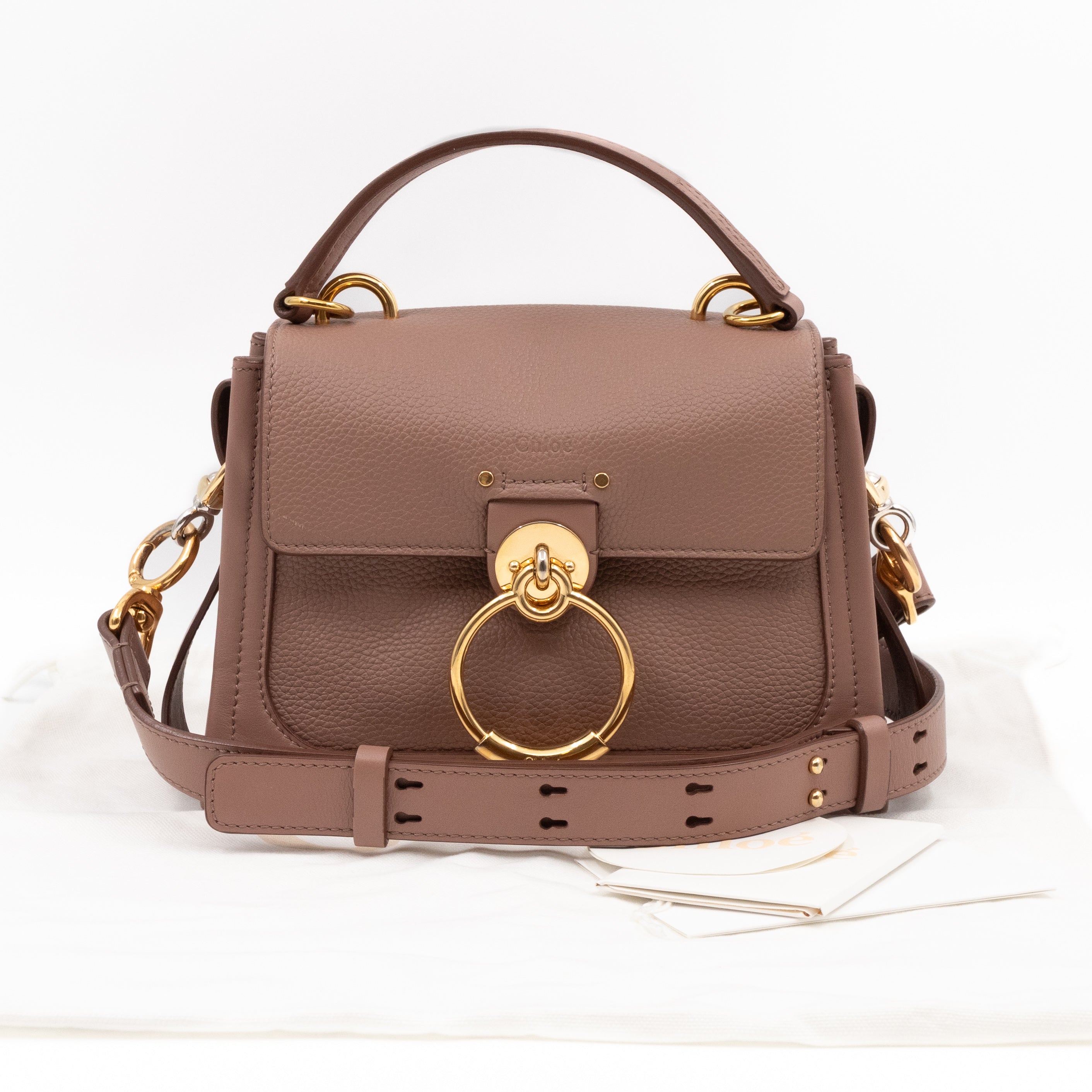 Mini Tess Day Bag Woodrose Leather