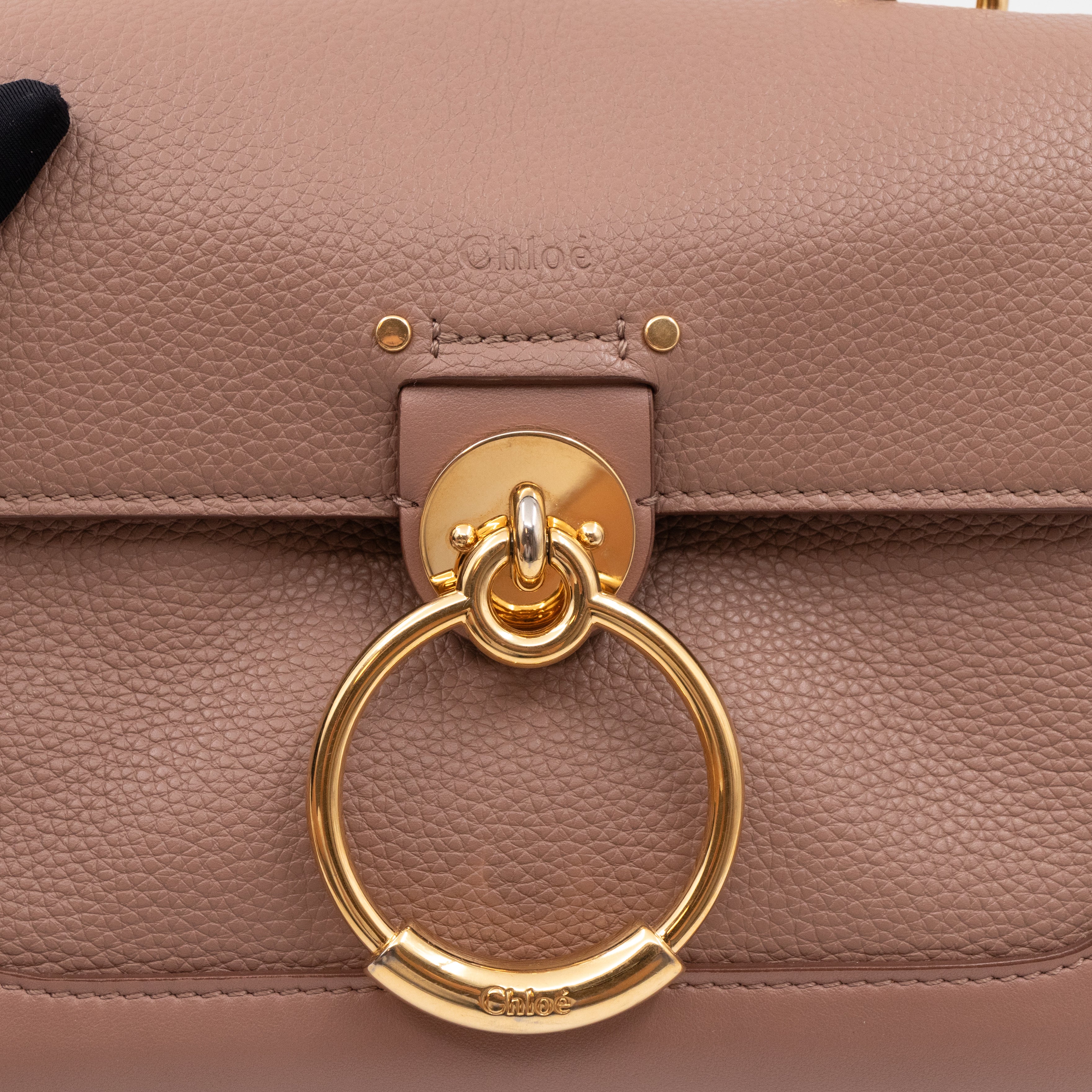 Mini Tess Day Bag Woodrose Leather