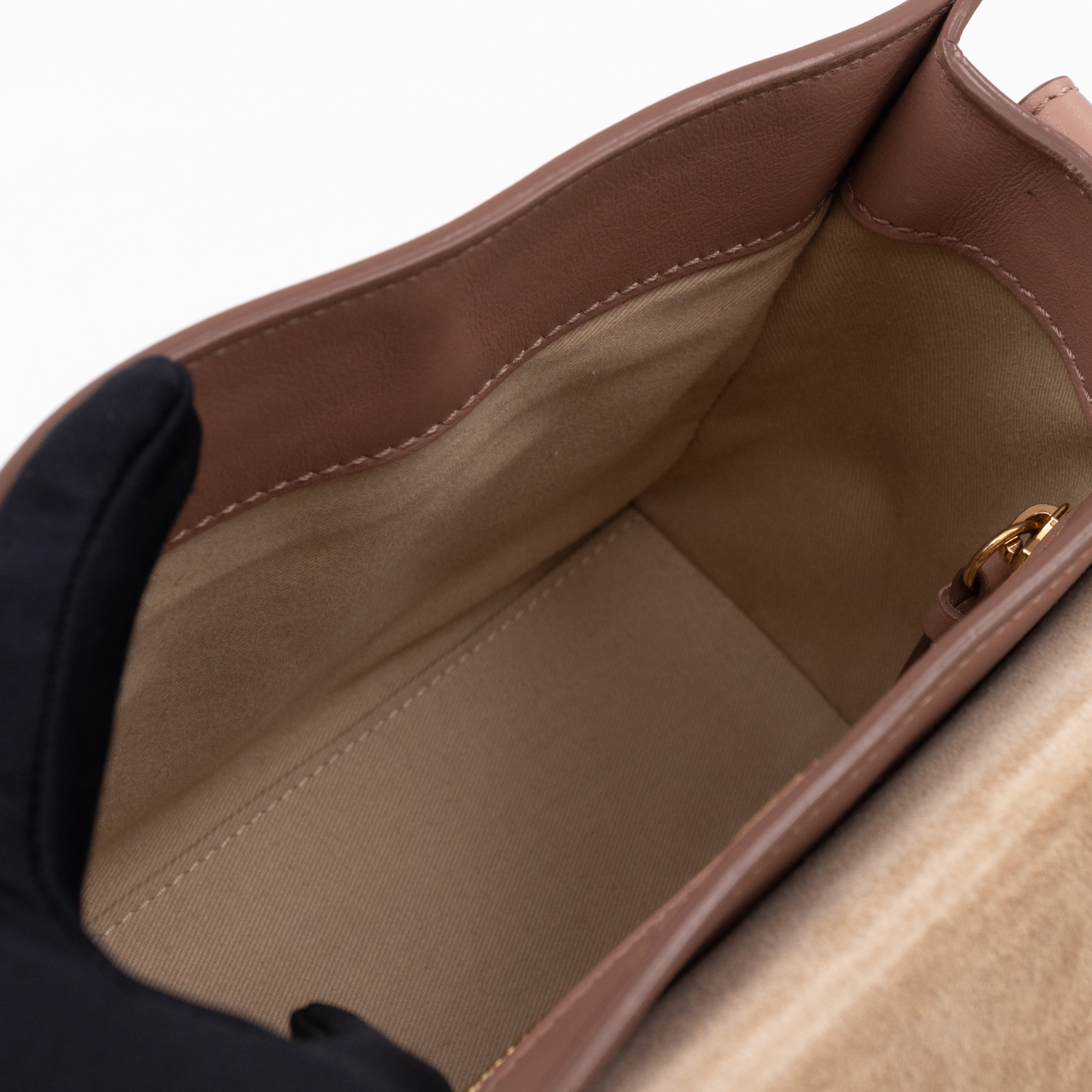 Mini Tess Day Bag Woodrose Leather