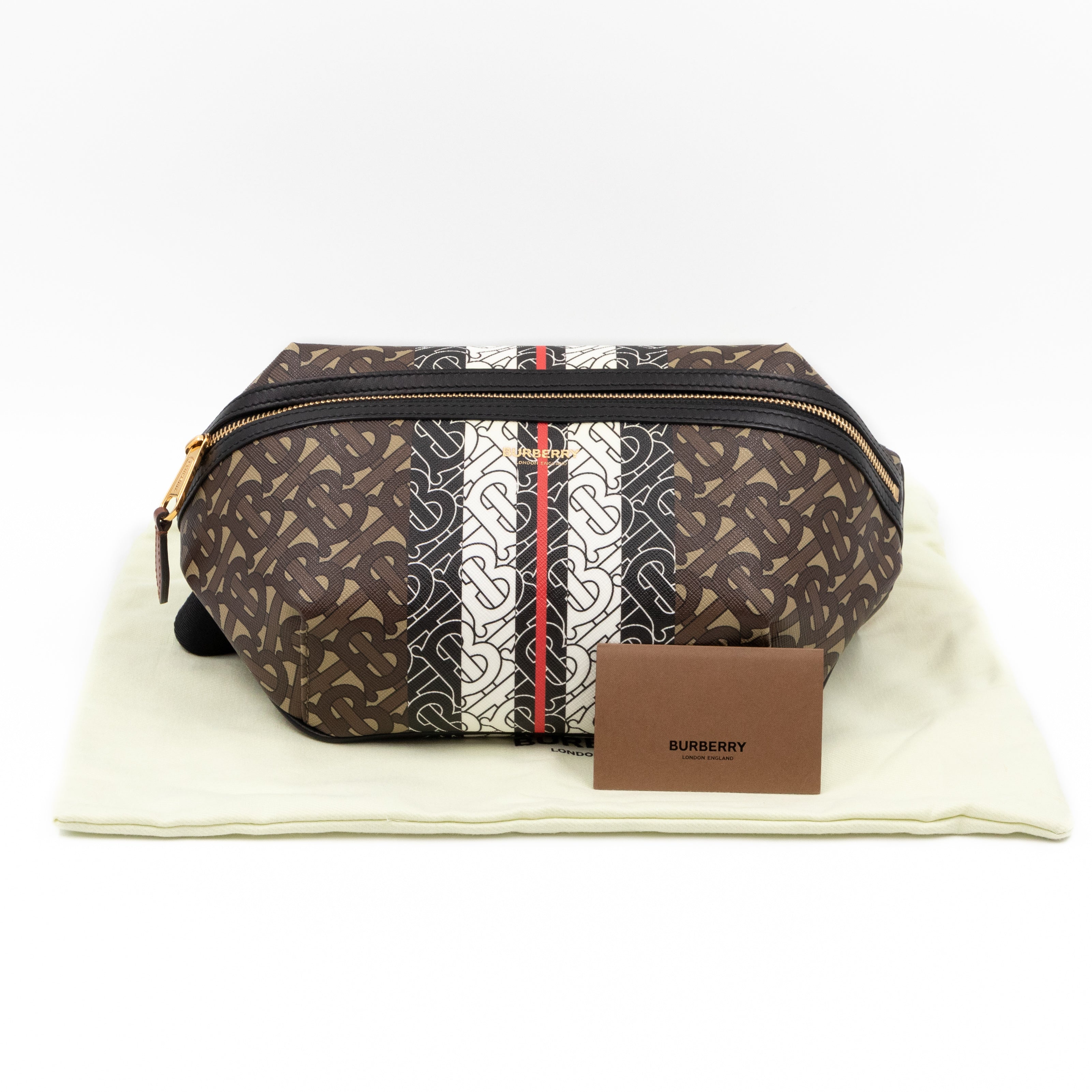 Burberry Medium TB Monogram Canvas Stripe E-canvas Bum Bag – Queen