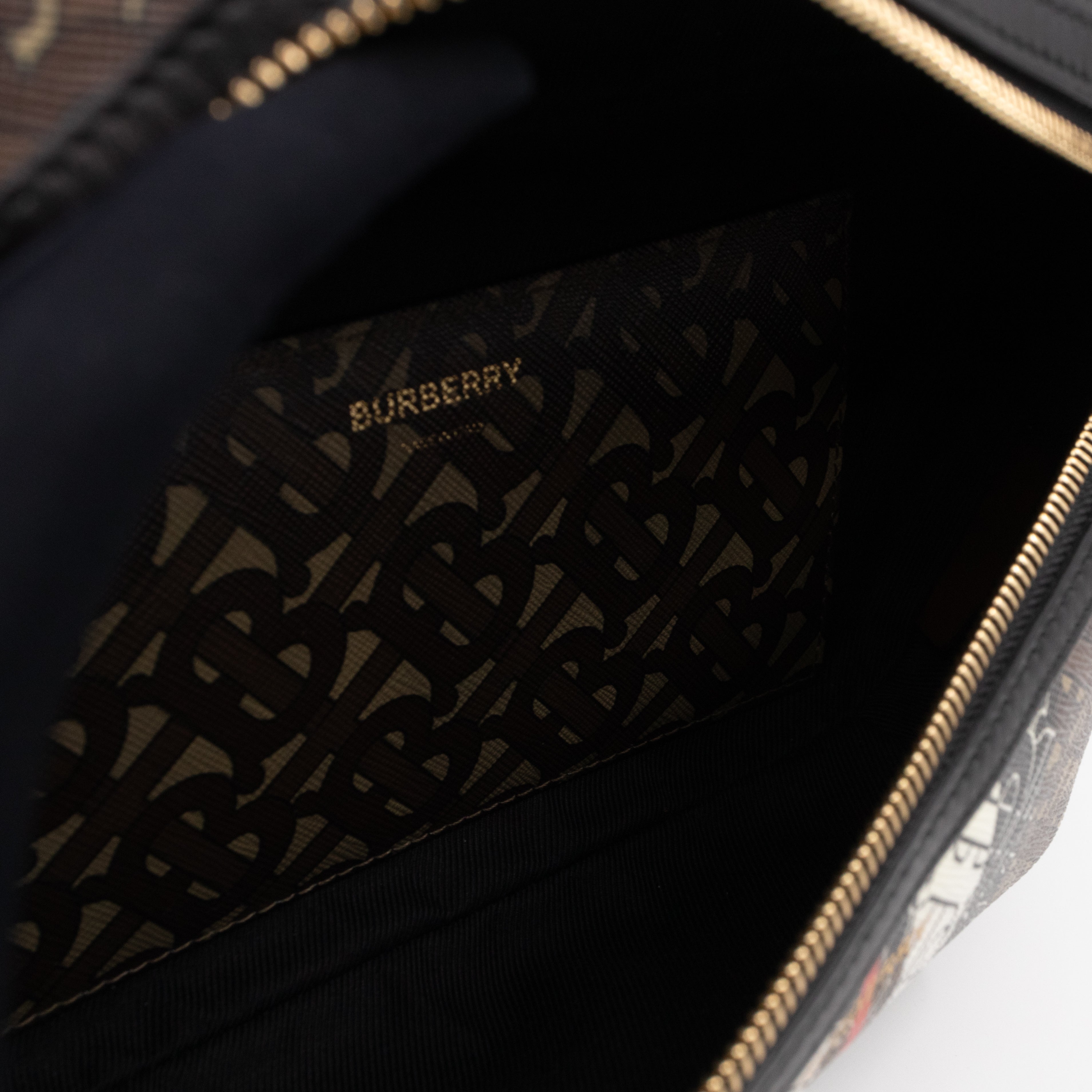 Medium TB Monogram E-canvas Bum Bag