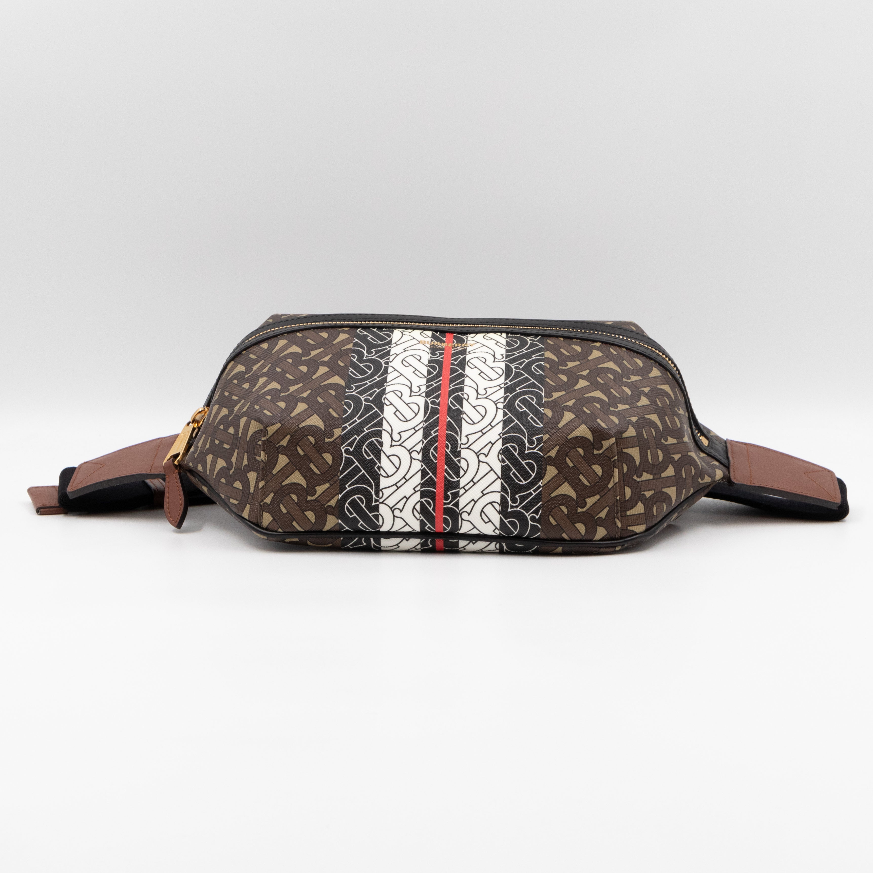 Medium TB Monogram E-canvas Bum Bag