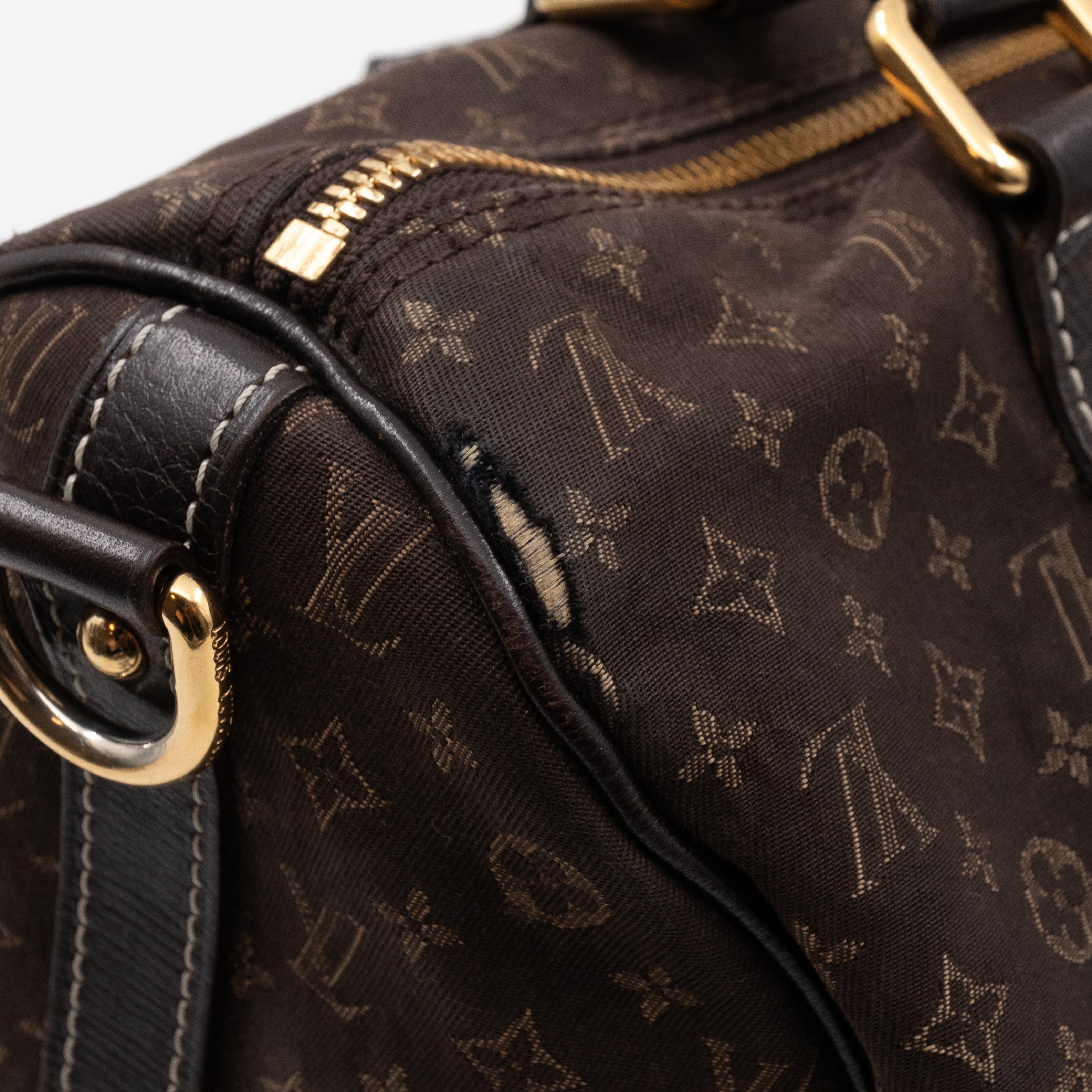 Speedy 30 Bandouliere Monogram Idylle Fusain