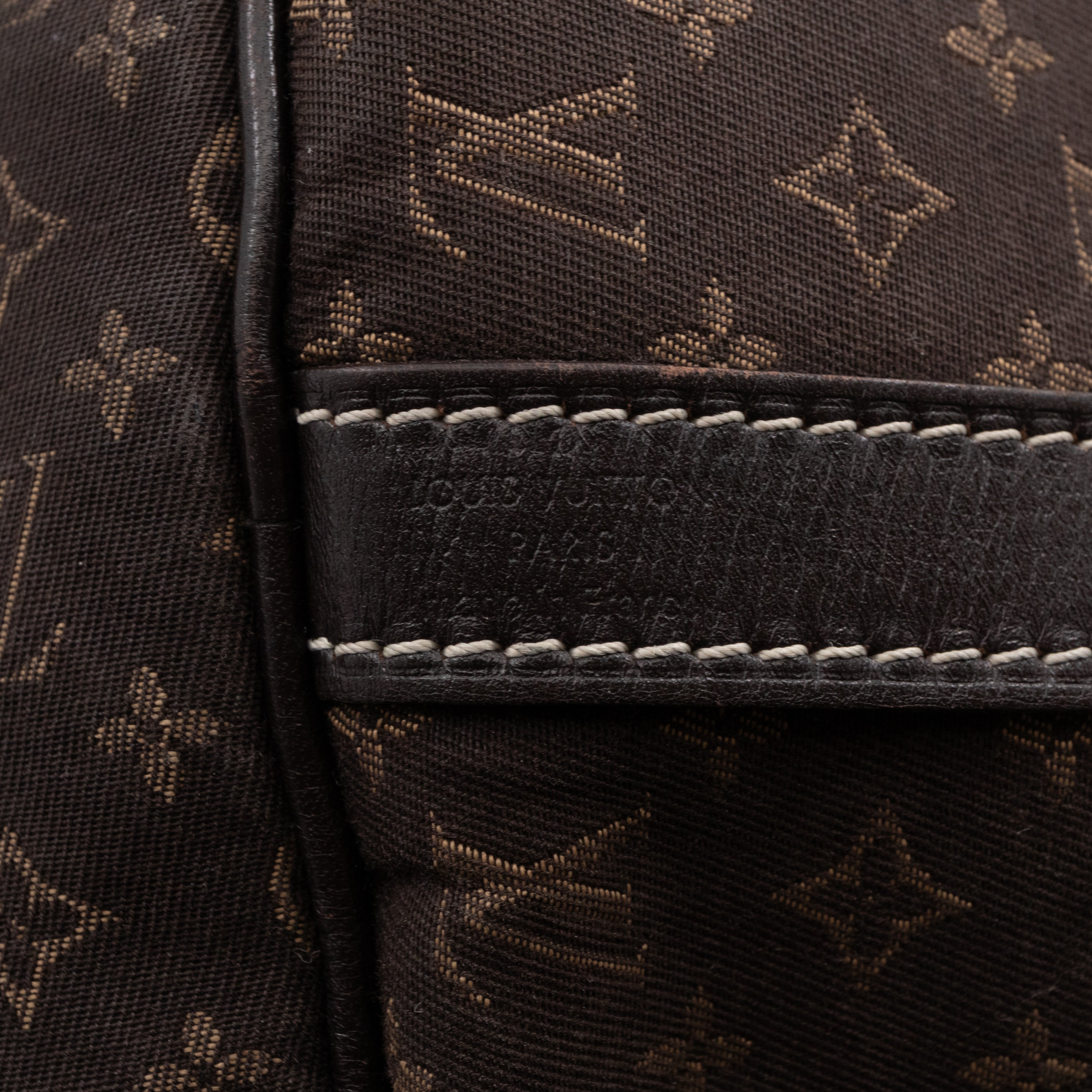 Speedy 30 Bandouliere Monogram Idylle Fusain