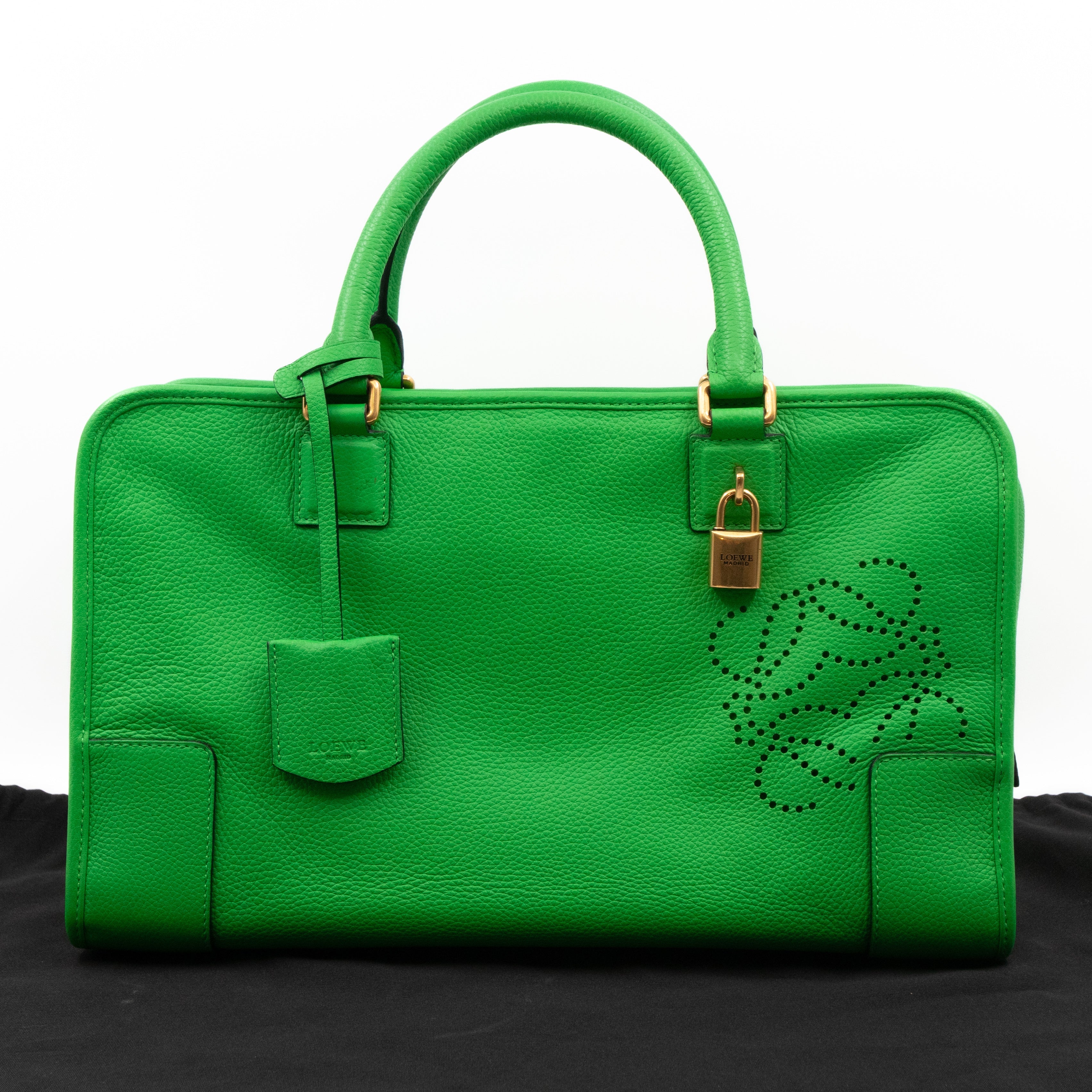 Acid Amazona 36 Handbag Green Leather