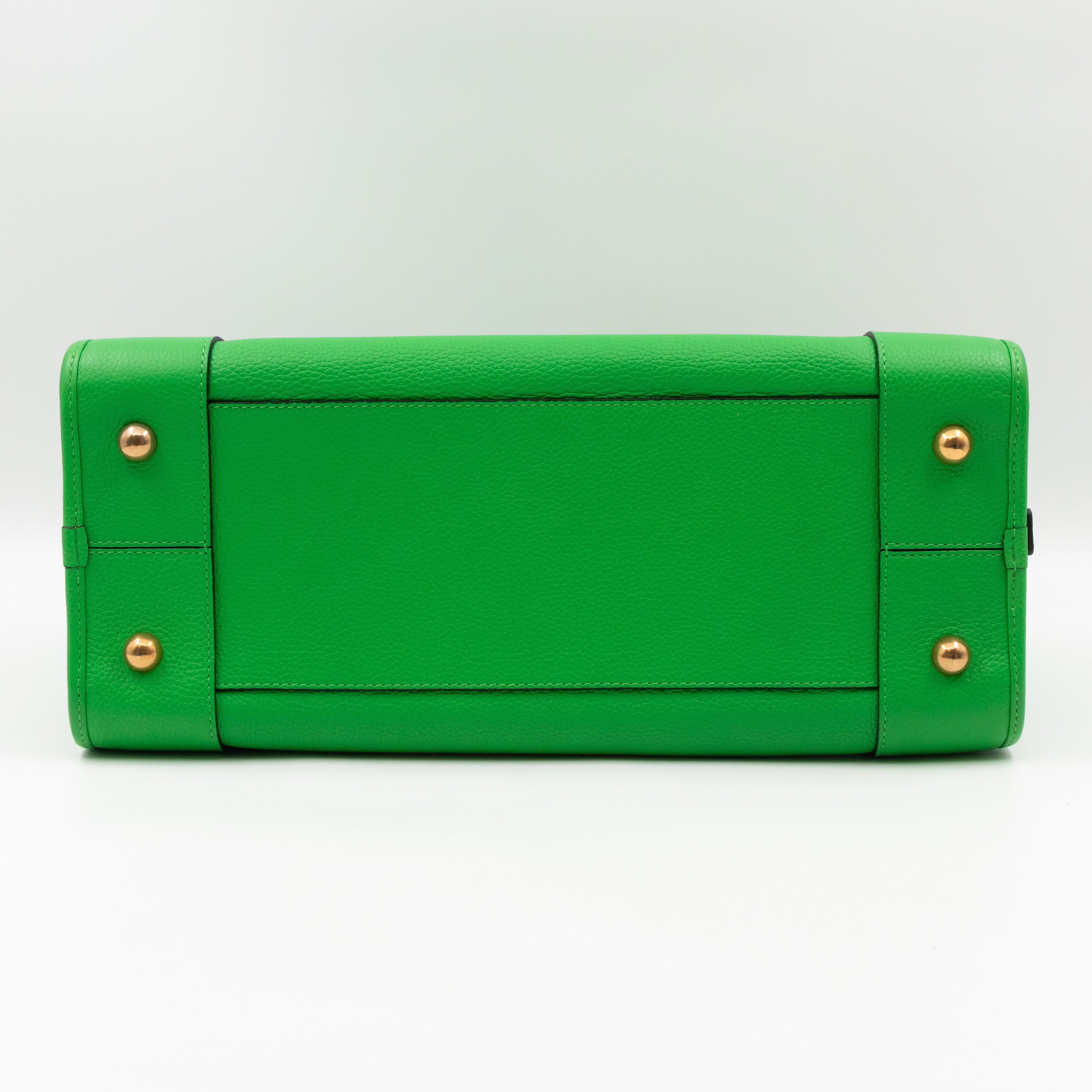 Acid Amazona 36 Handbag Green Leather