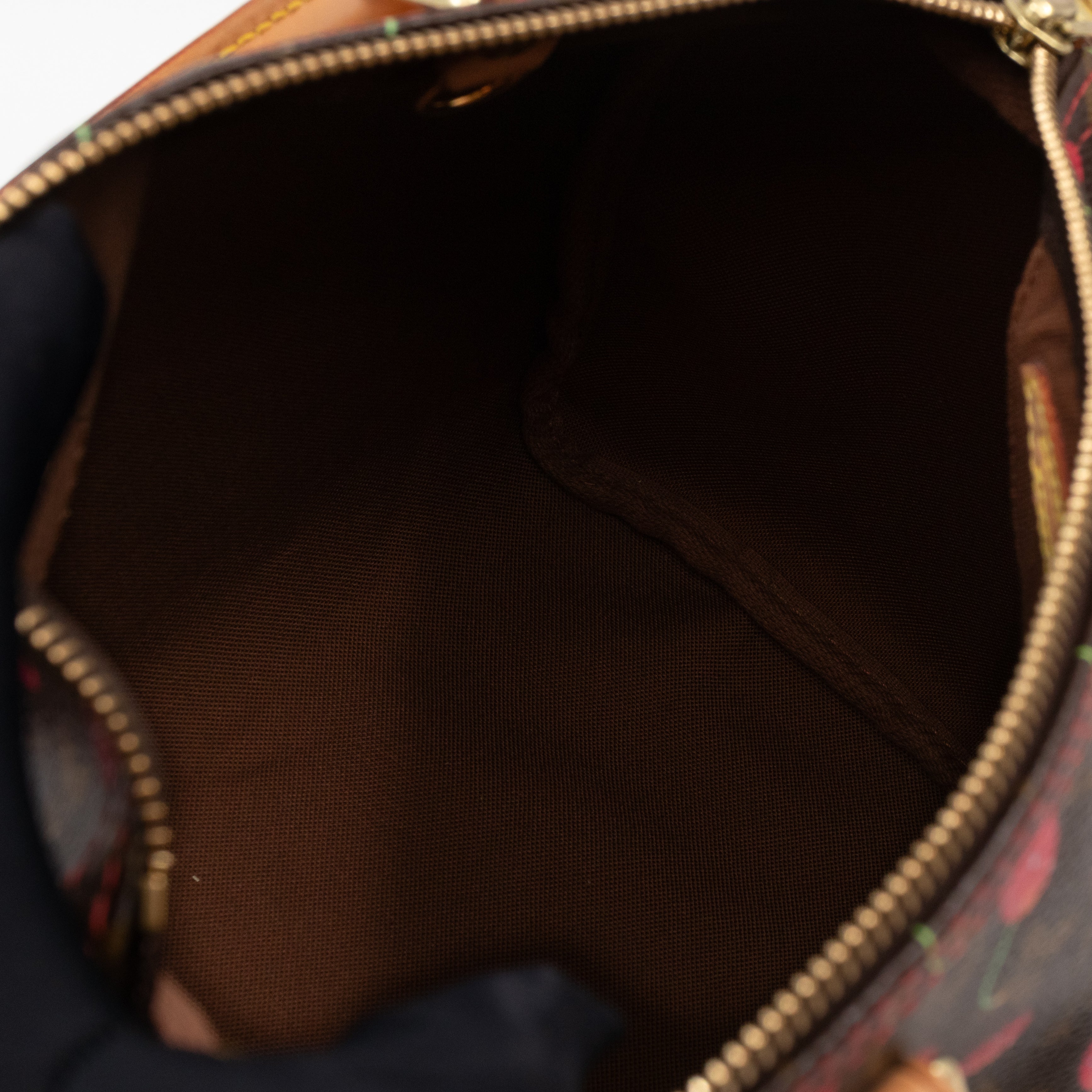 Speedy 25 Monogram Cerise