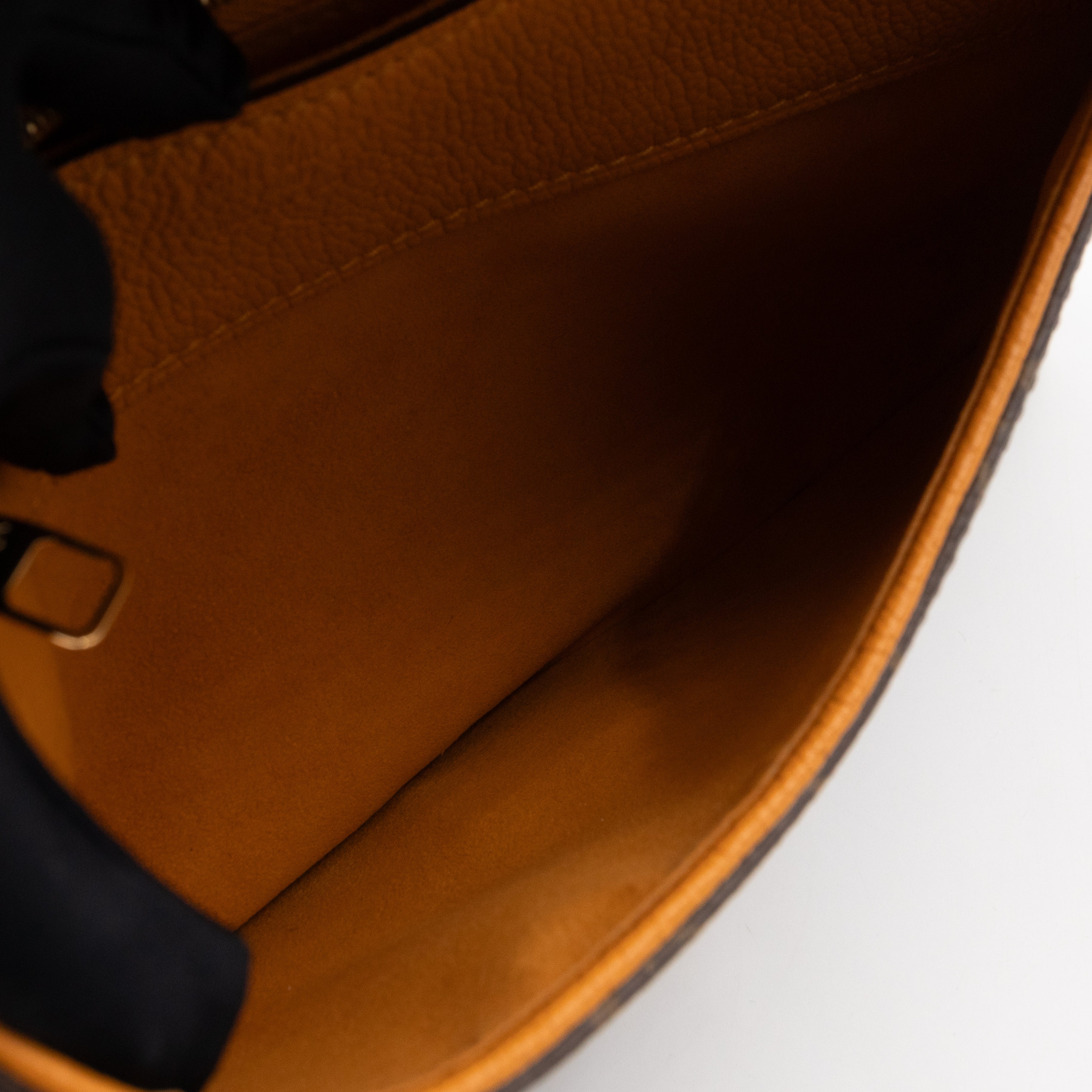 Pallas Chain Bag Monogram Safran