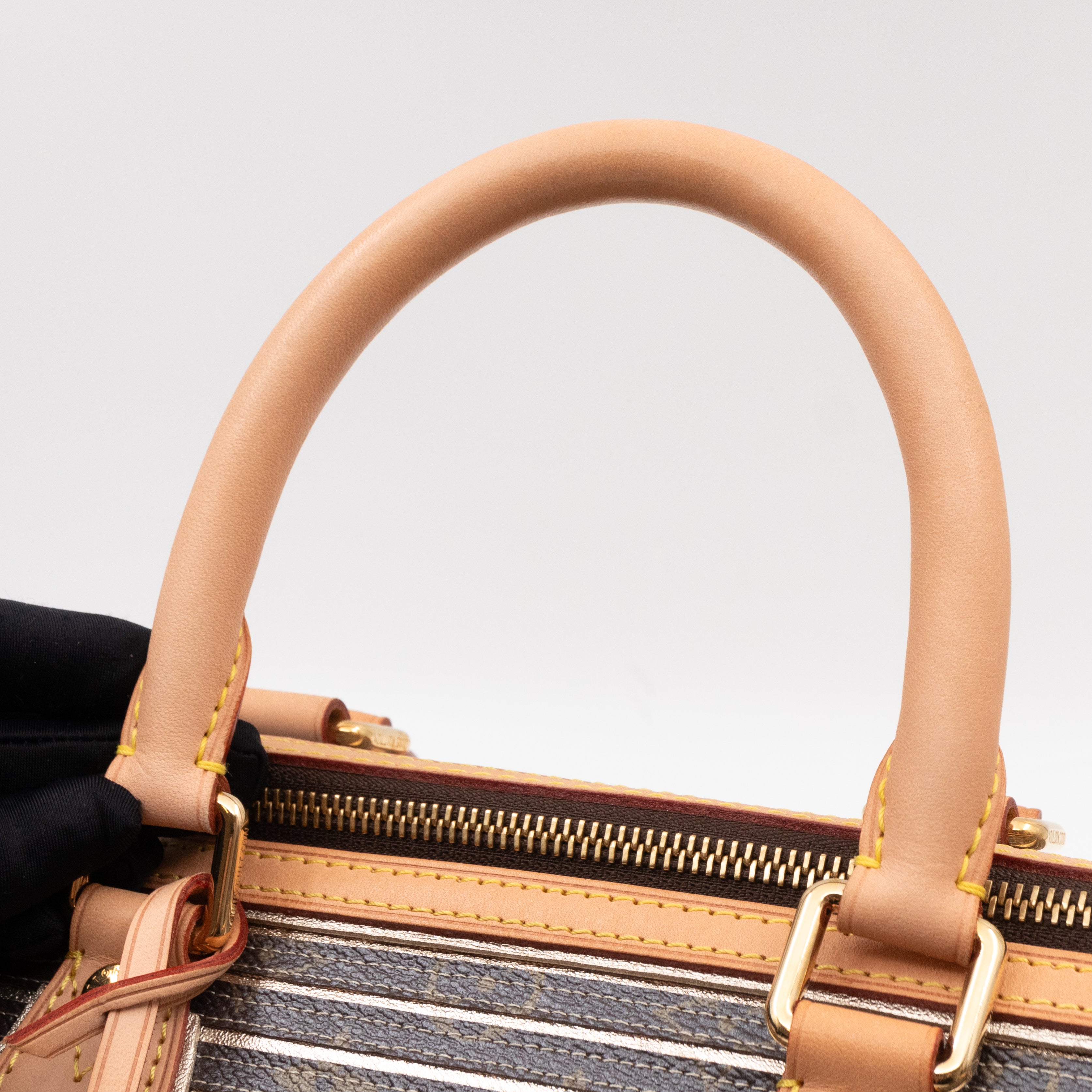 Speedy 30 Bandouliere Monogram Eden Argent