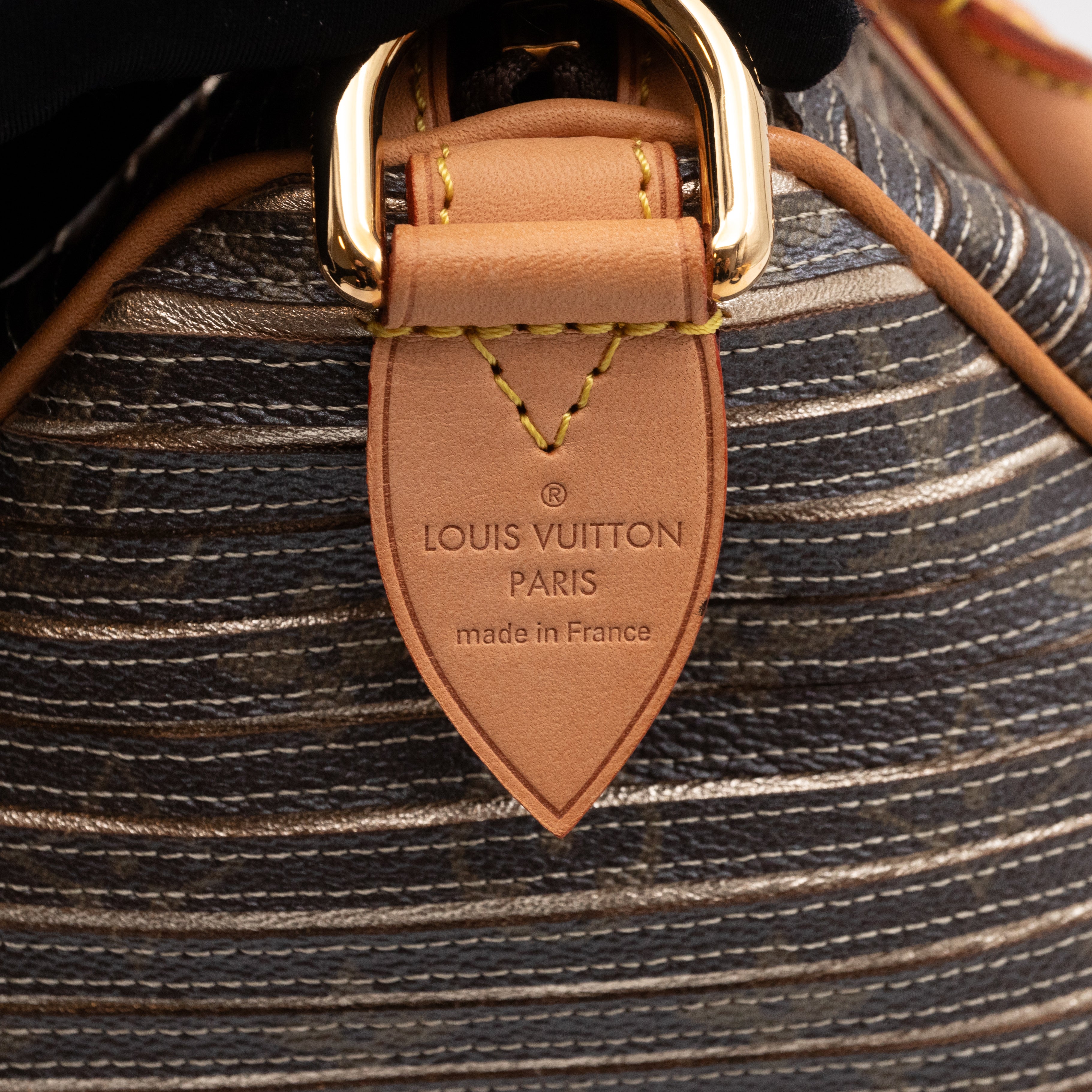 Speedy 30 Bandouliere Monogram Eden Argent