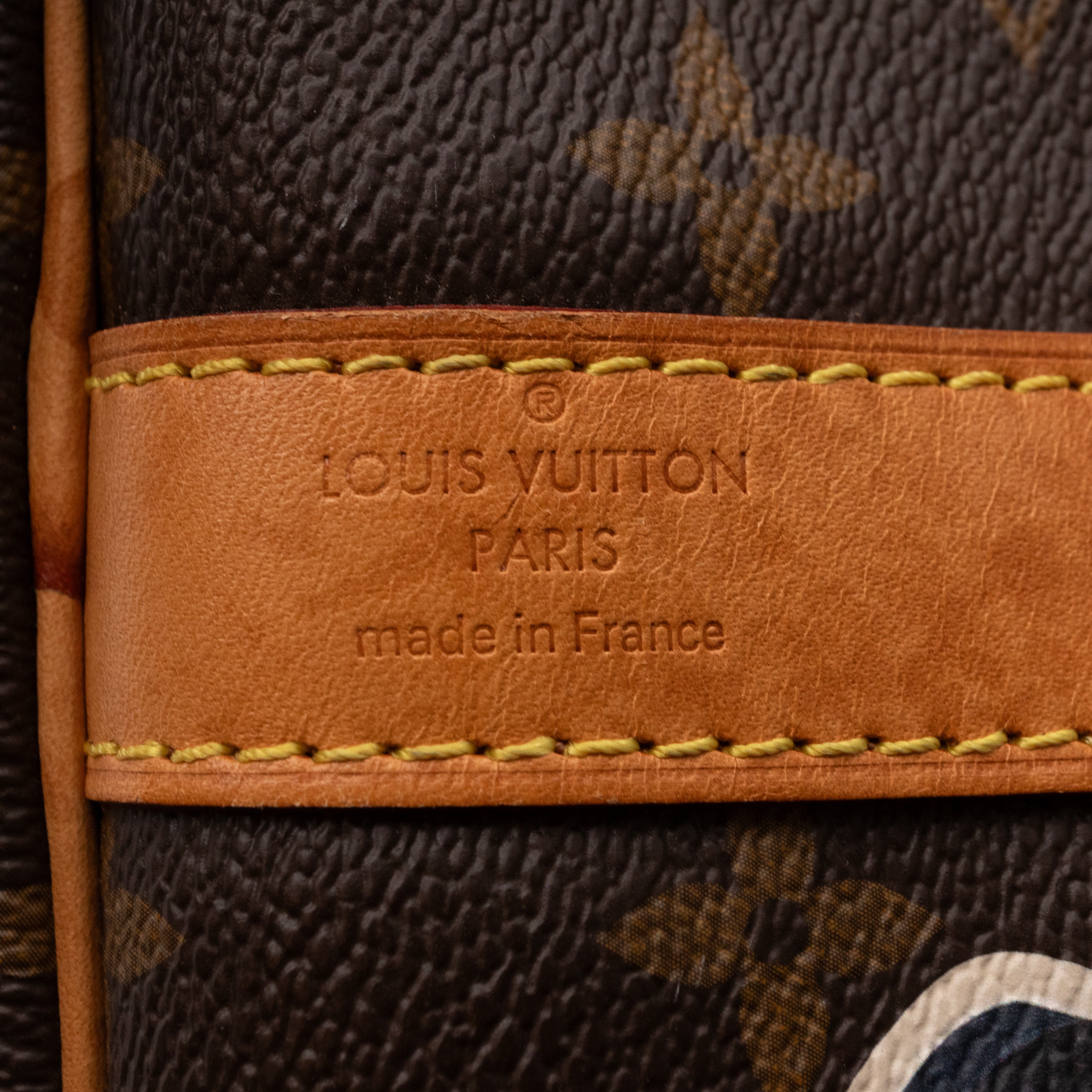 Keepall 50 Monogram World Tour