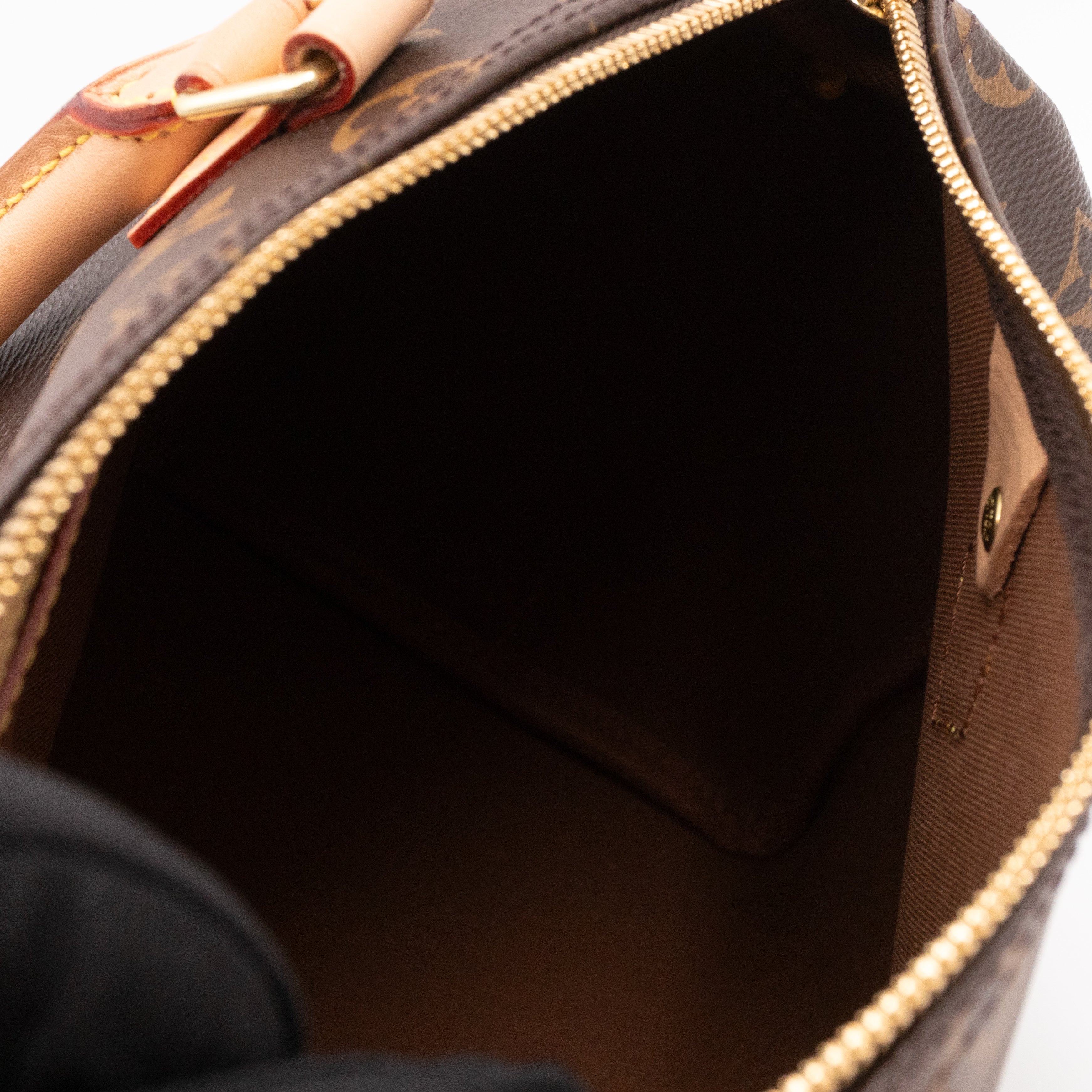 Speedy 25 Bandouliere Monogram