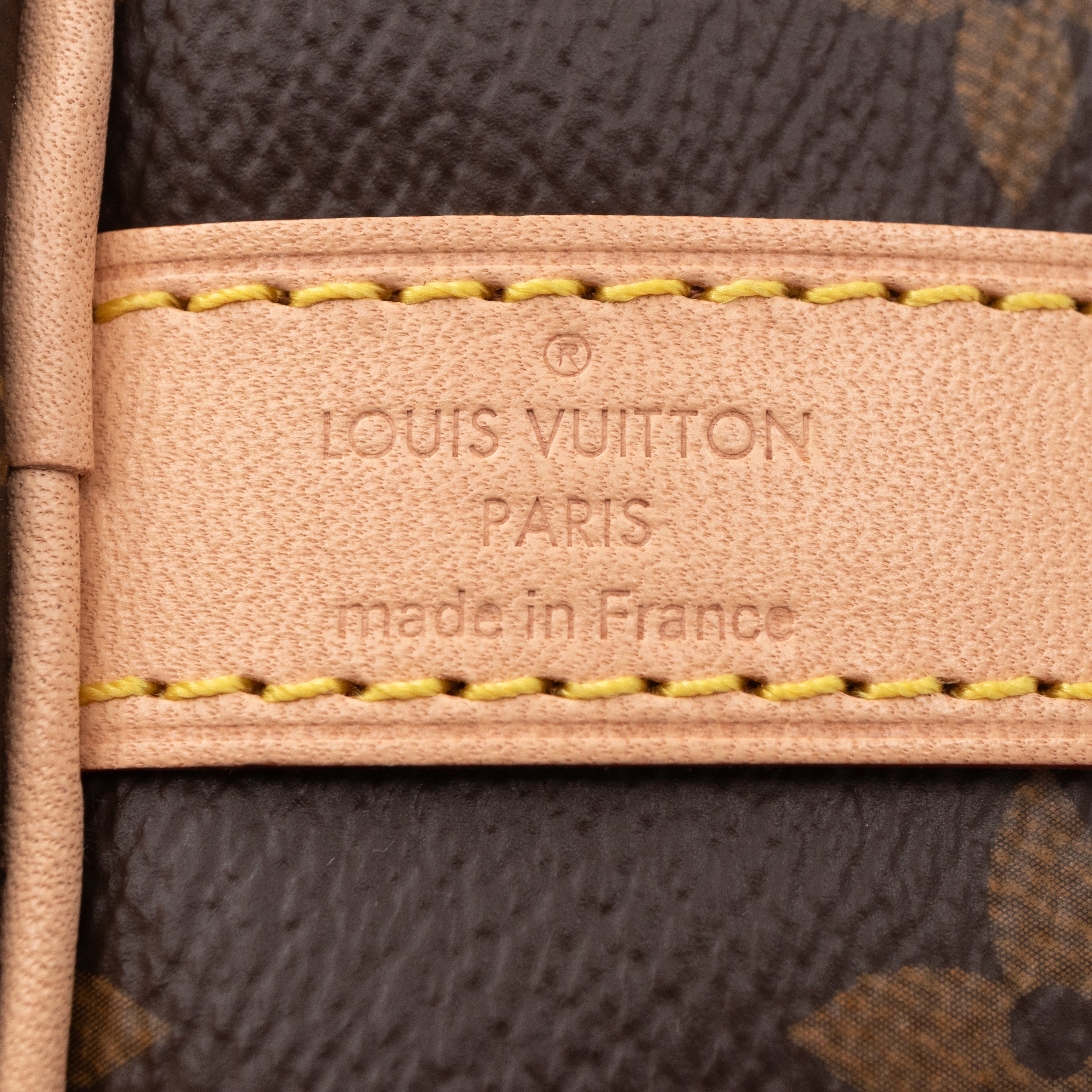 Speedy 25 Bandouliere Monogram