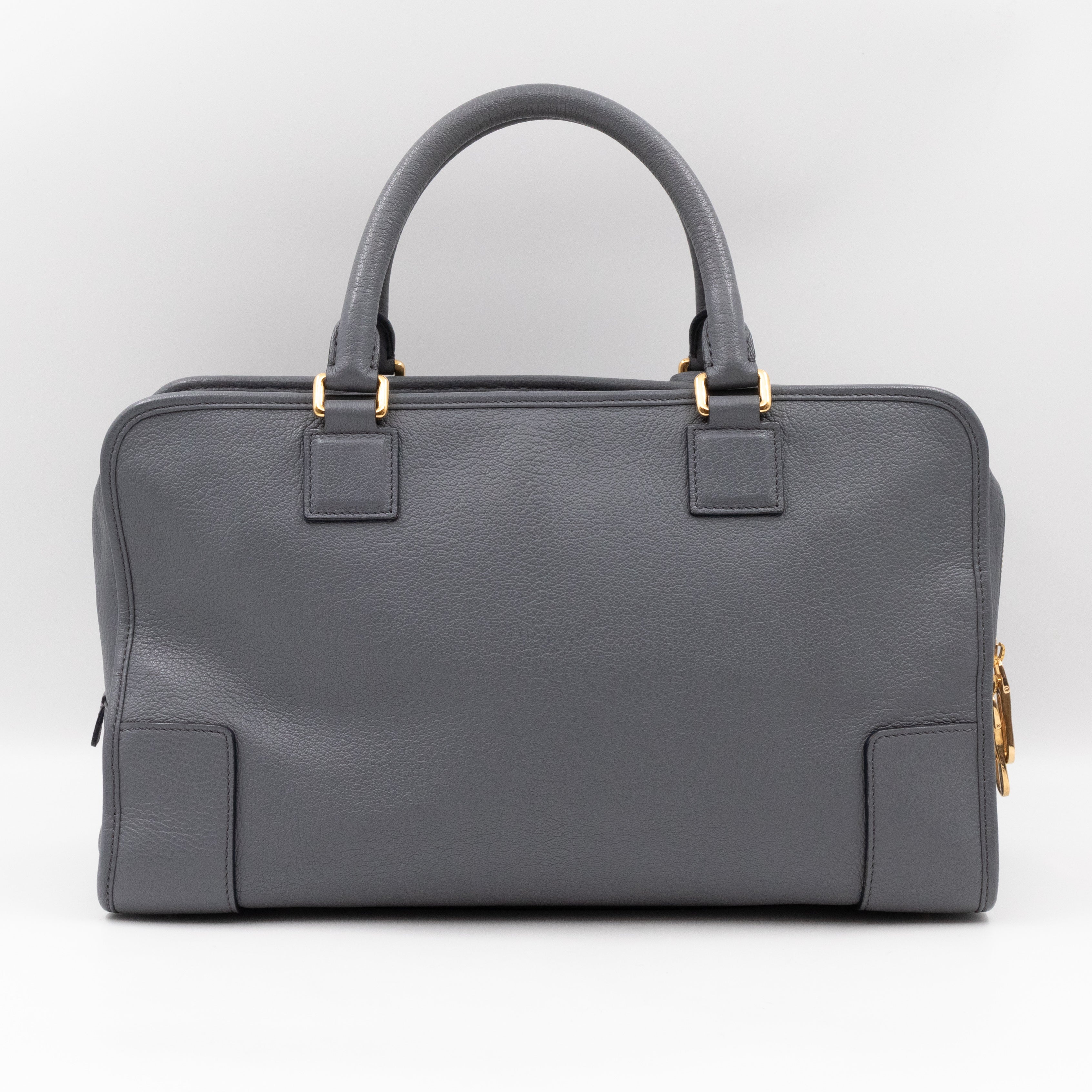 Amazona 36 Handbag Grey Leather