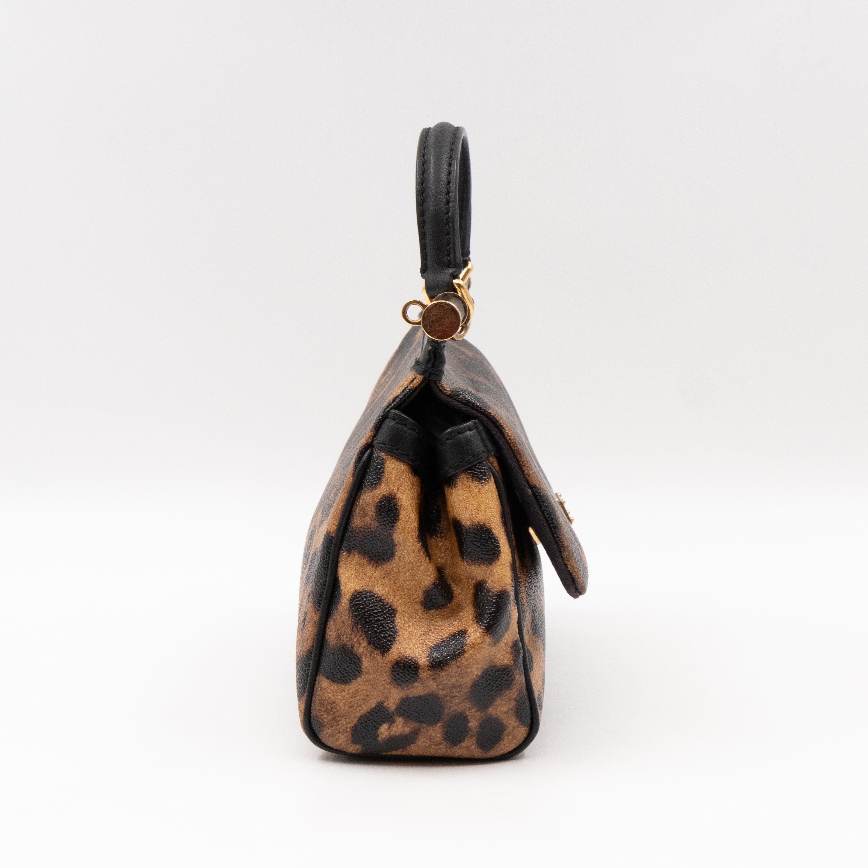 Sicily Mini Leopard Print Coated Canvas
