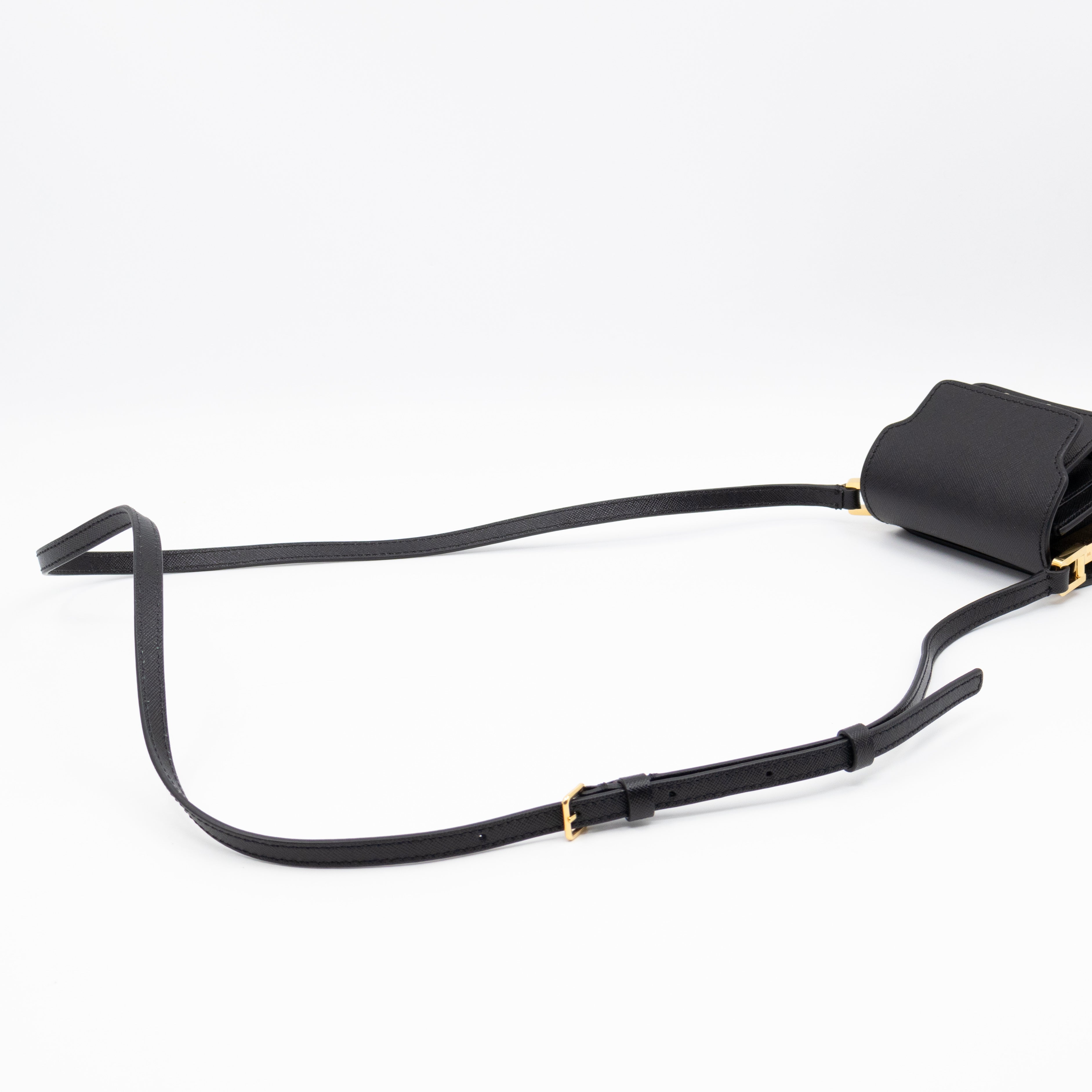 Trunk Bag Nano Black Leather