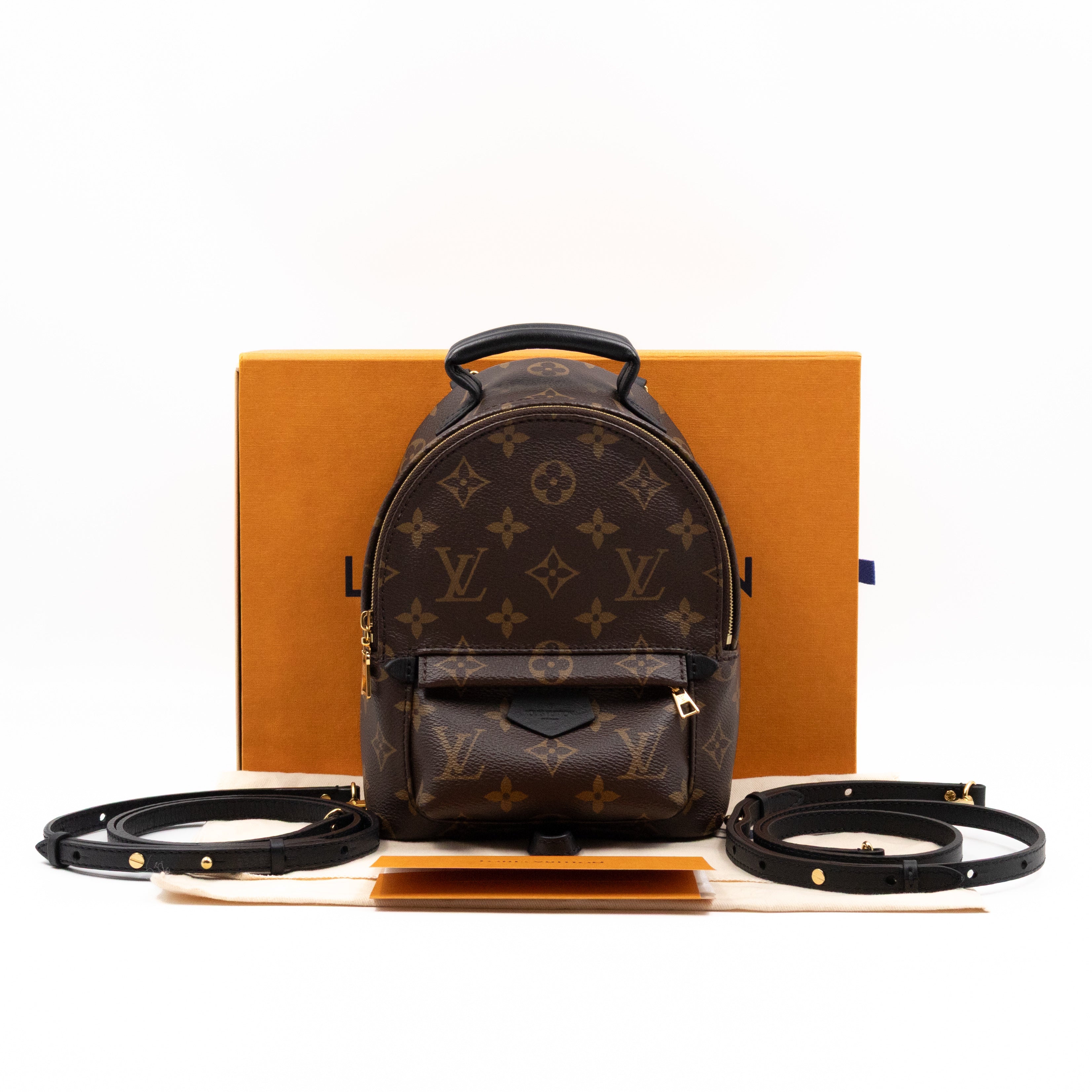 Palm Springs Backpack Mini Monogram Macassar