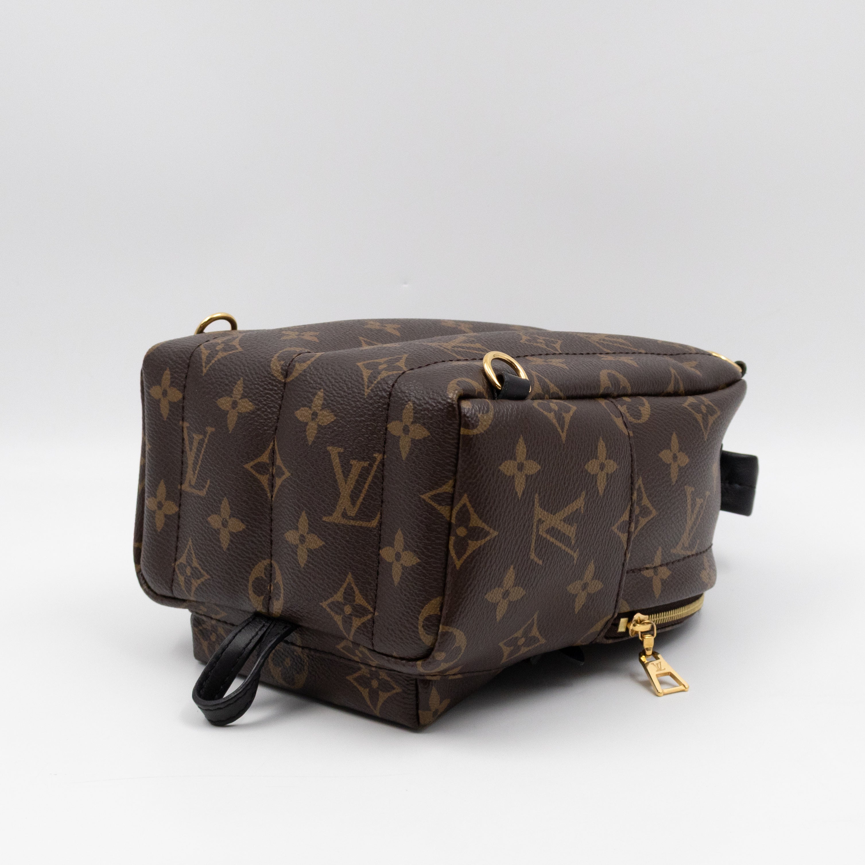 Palm Springs Backpack Mini Monogram Macassar