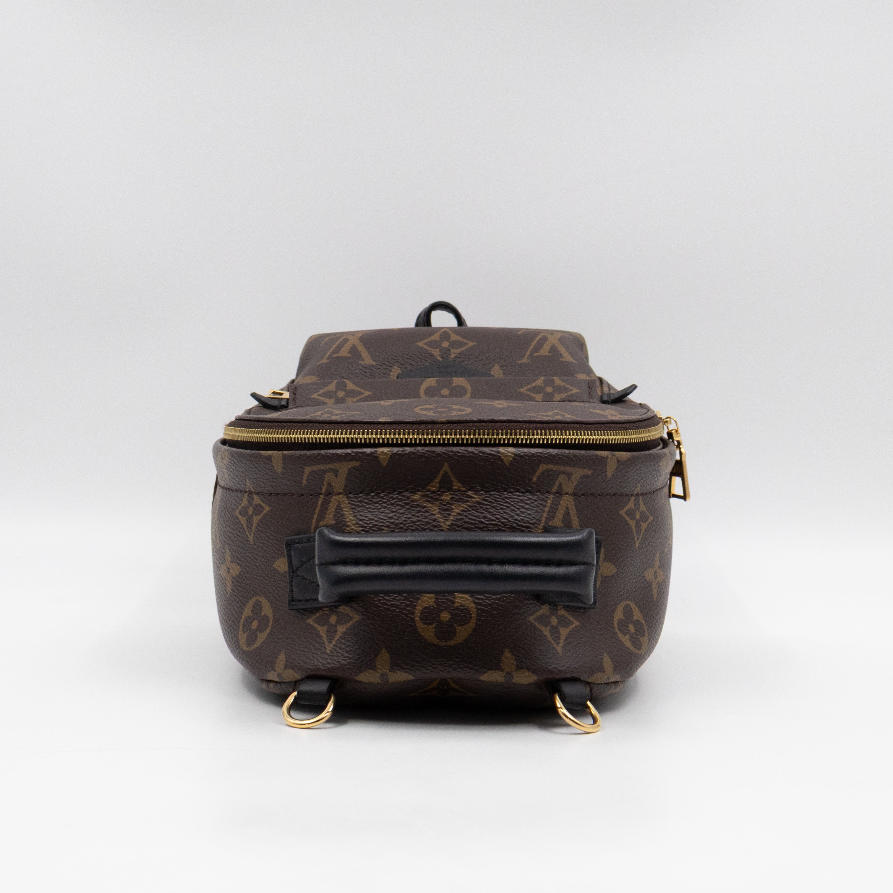 Palm Springs Backpack Mini Monogram Macassar