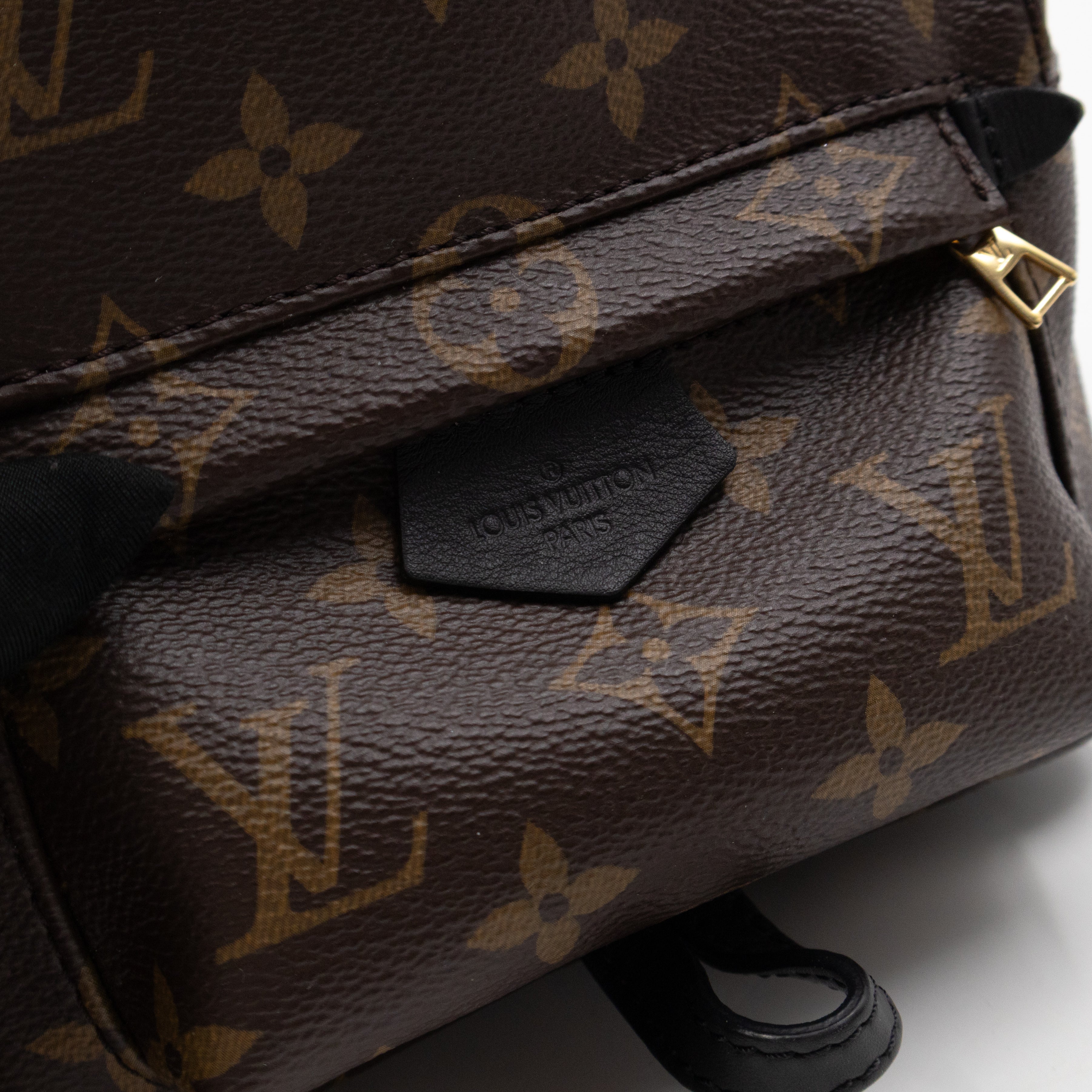 Palm Springs Backpack Mini Monogram Macassar