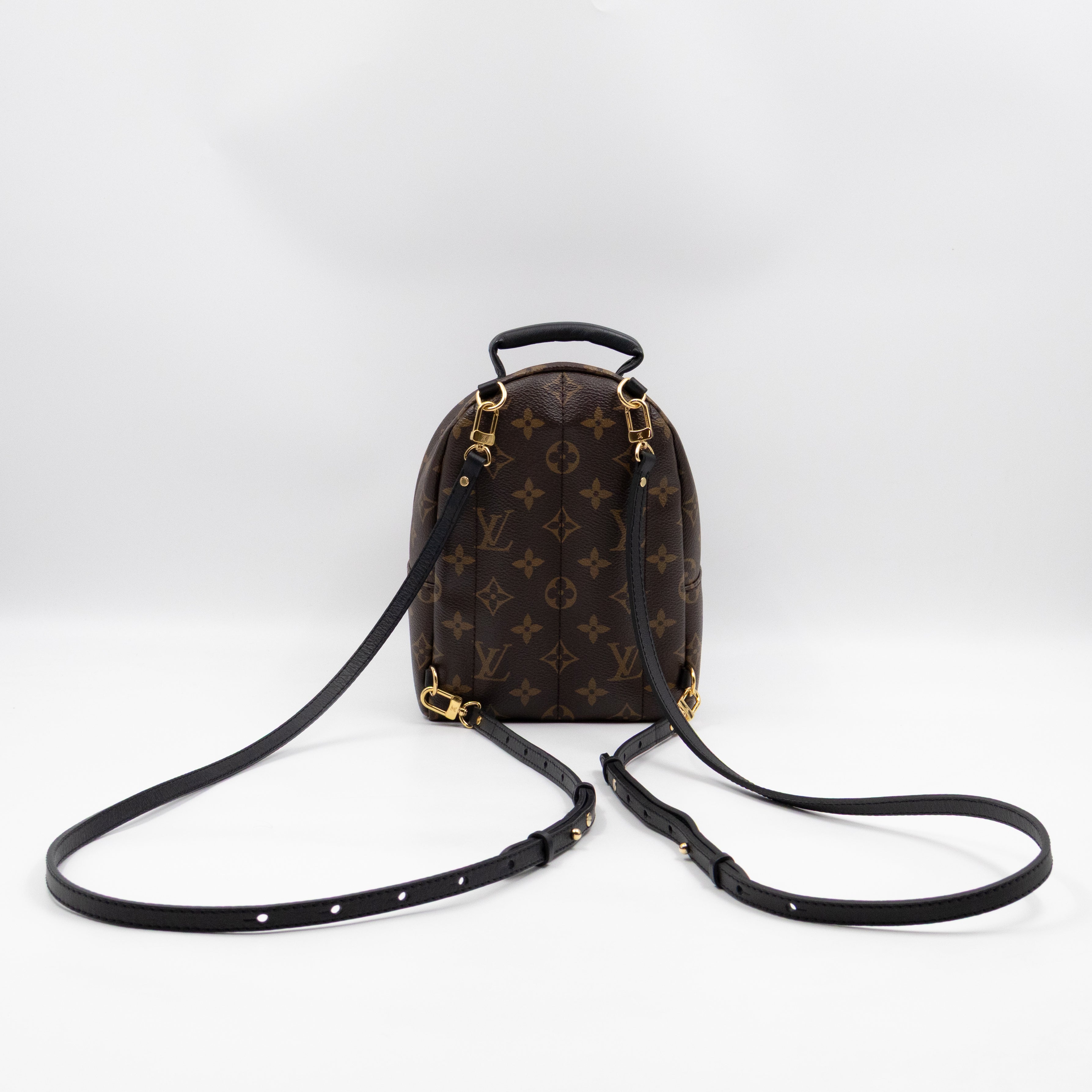 Palm Springs Backpack Mini Monogram Macassar
