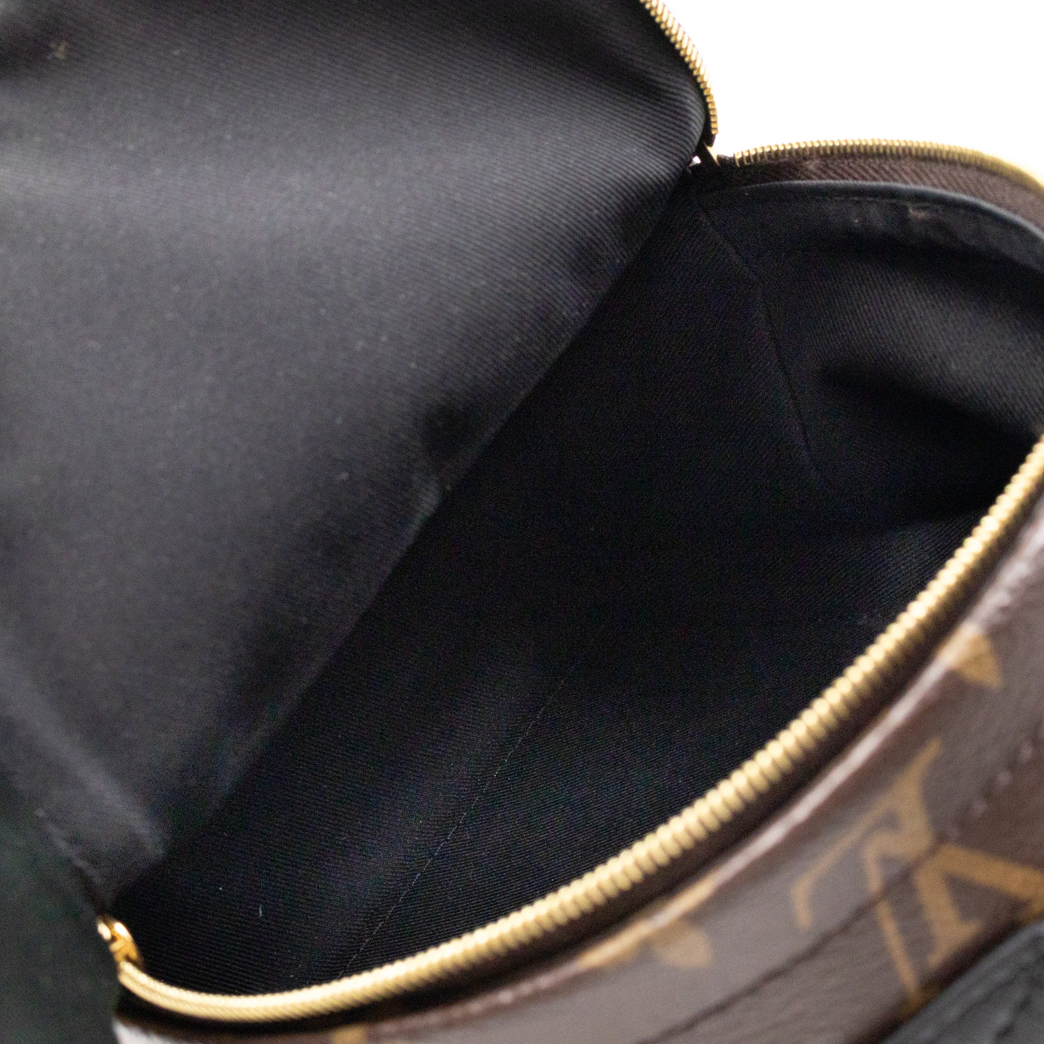 Palm Springs Backpack Mini Monogram Macassar