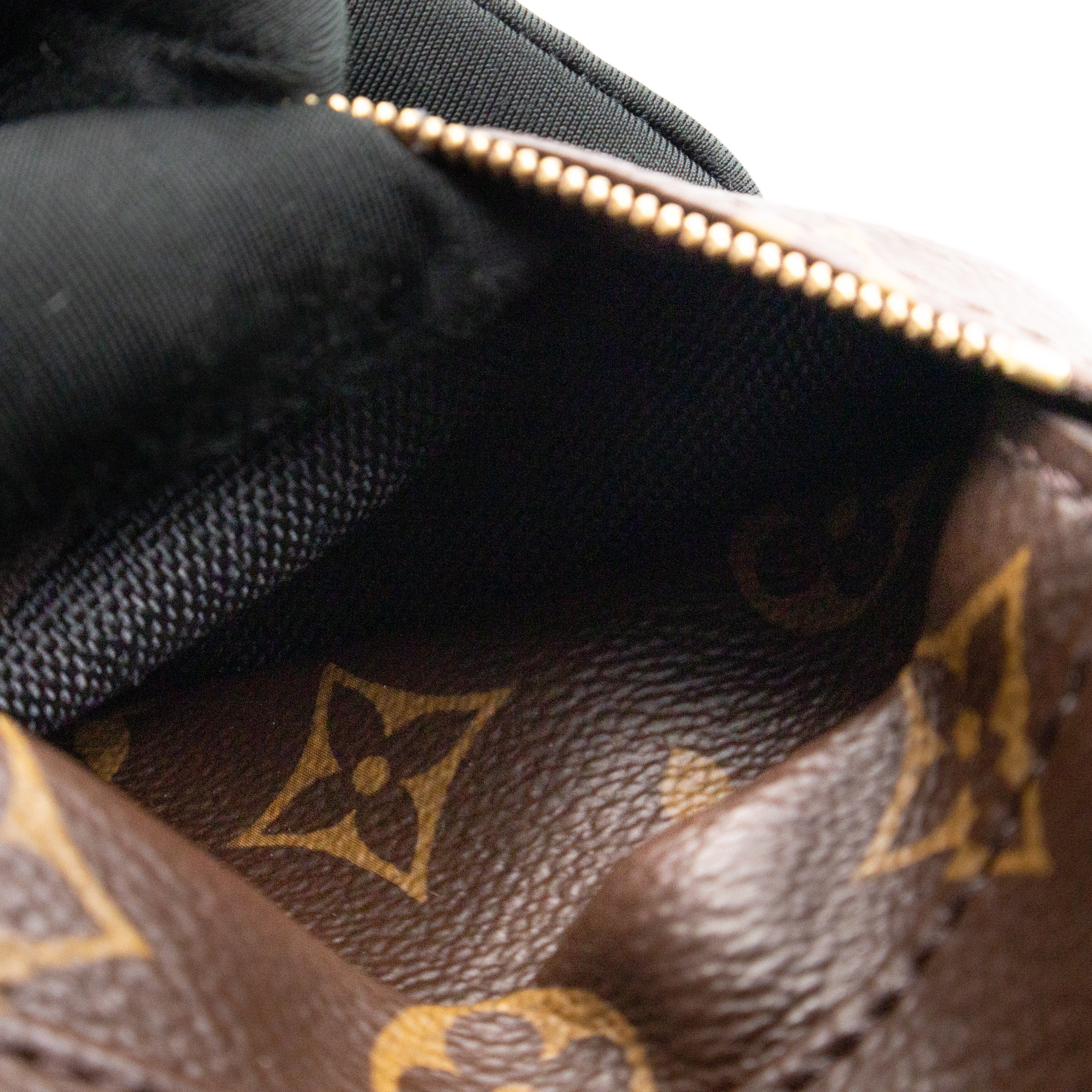 Palm Springs Backpack Mini Monogram Macassar