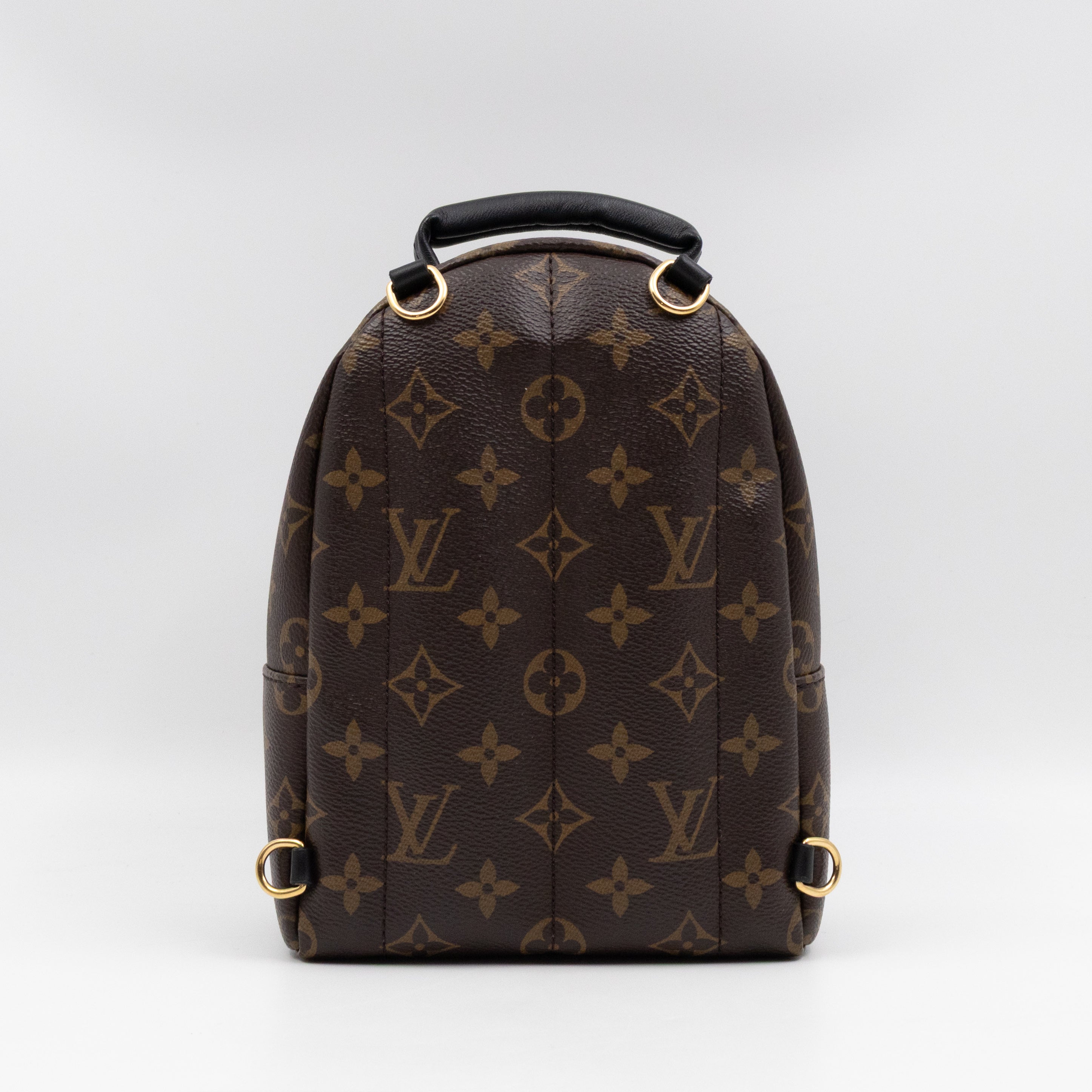 Palm Springs Backpack Mini Monogram Macassar