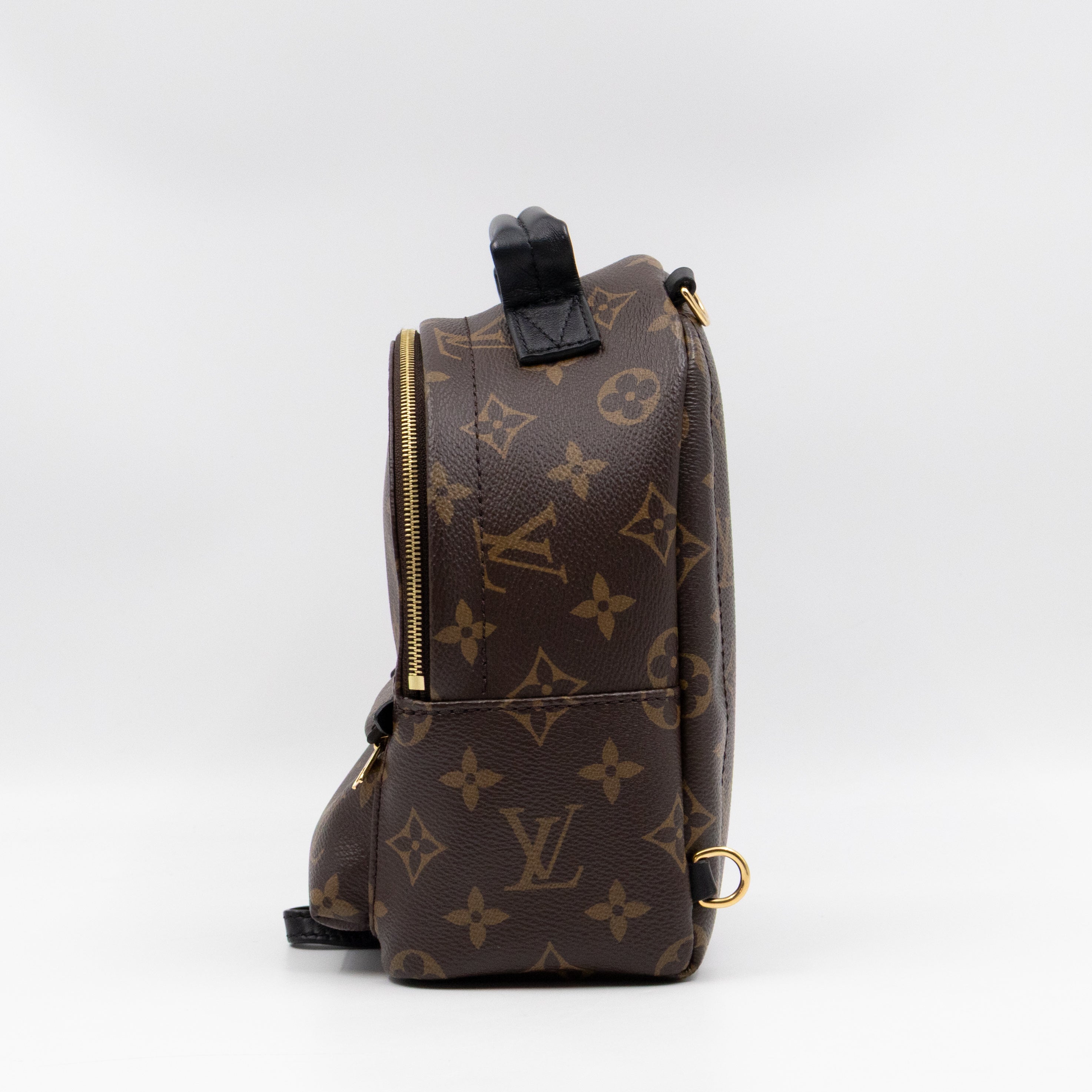 Palm Springs Backpack Mini Monogram Macassar
