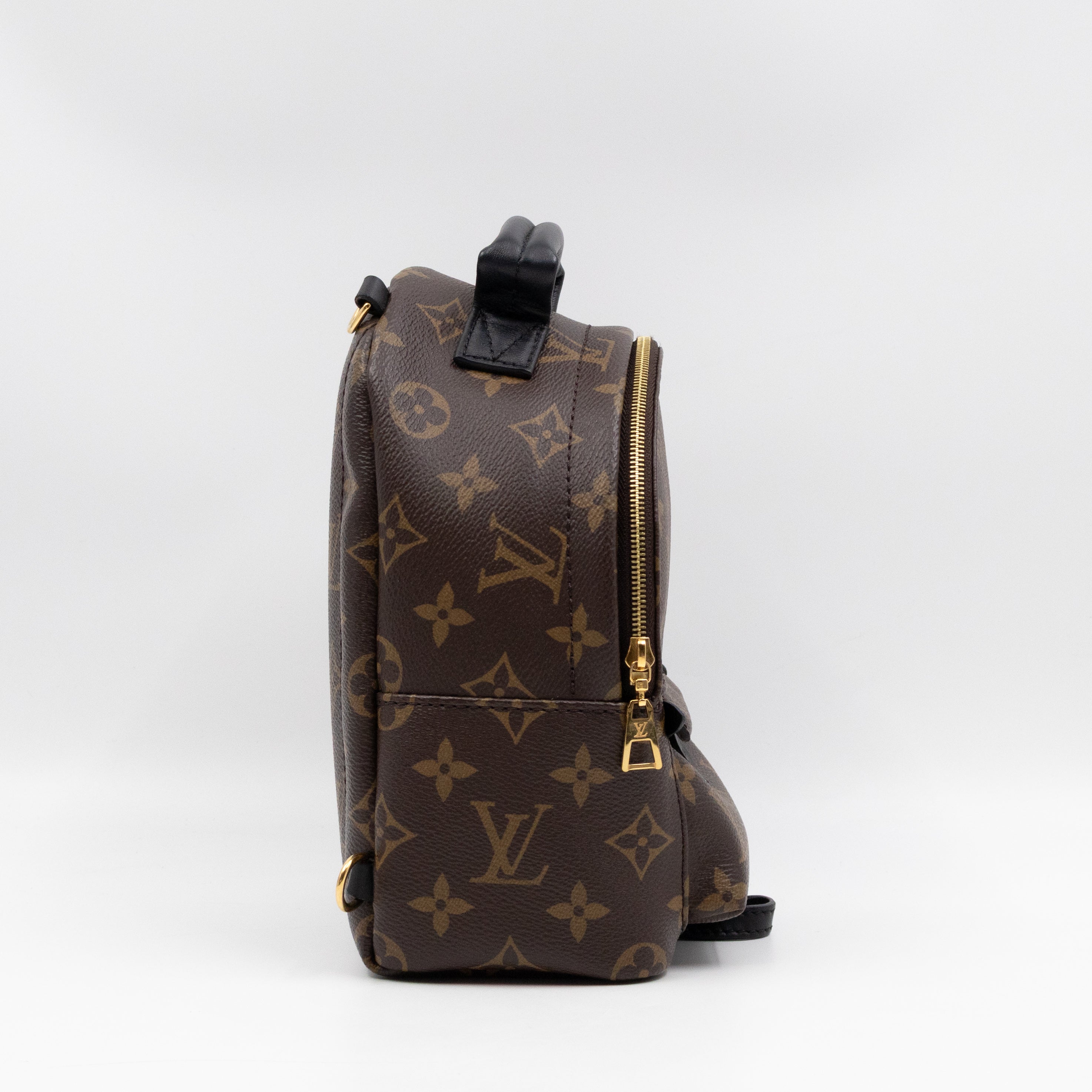 Palm Springs Backpack Mini Monogram Macassar