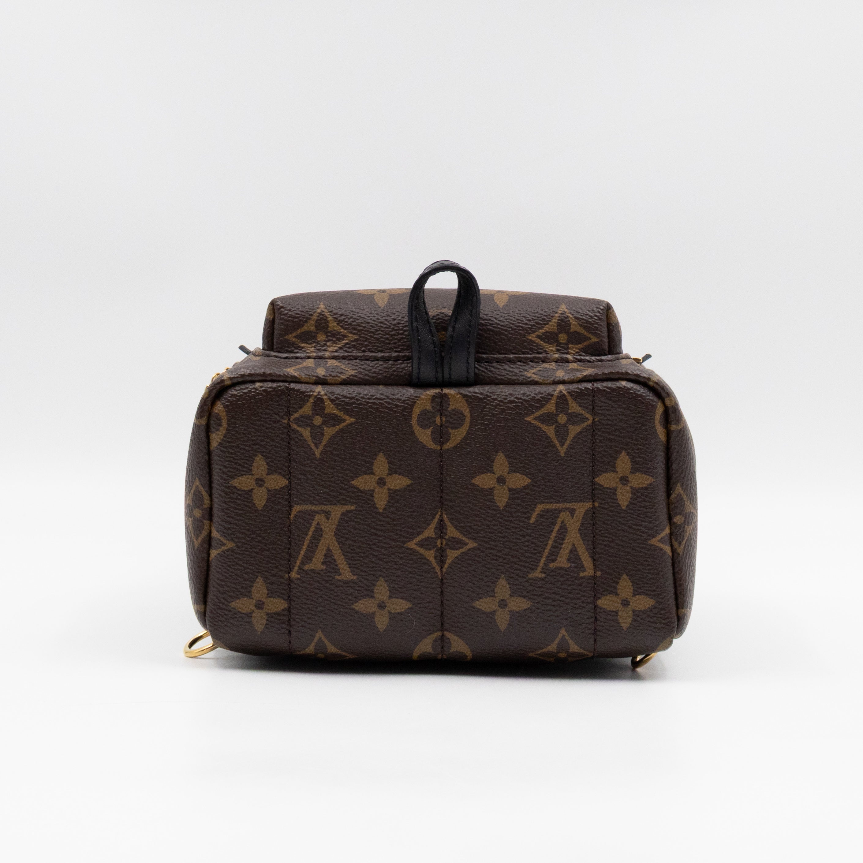 Palm Springs Backpack Mini Monogram Macassar