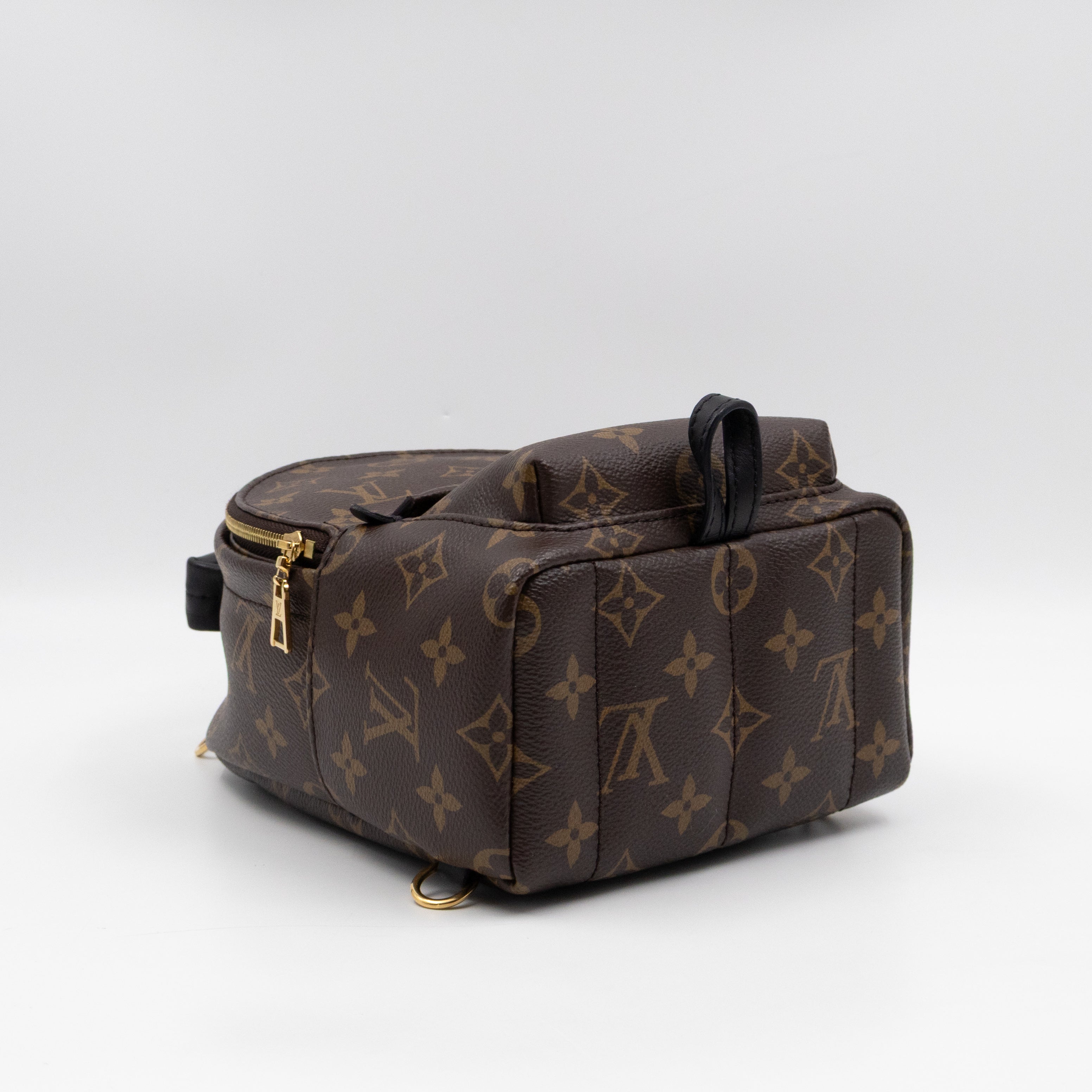 Palm Springs Backpack Mini Monogram Macassar